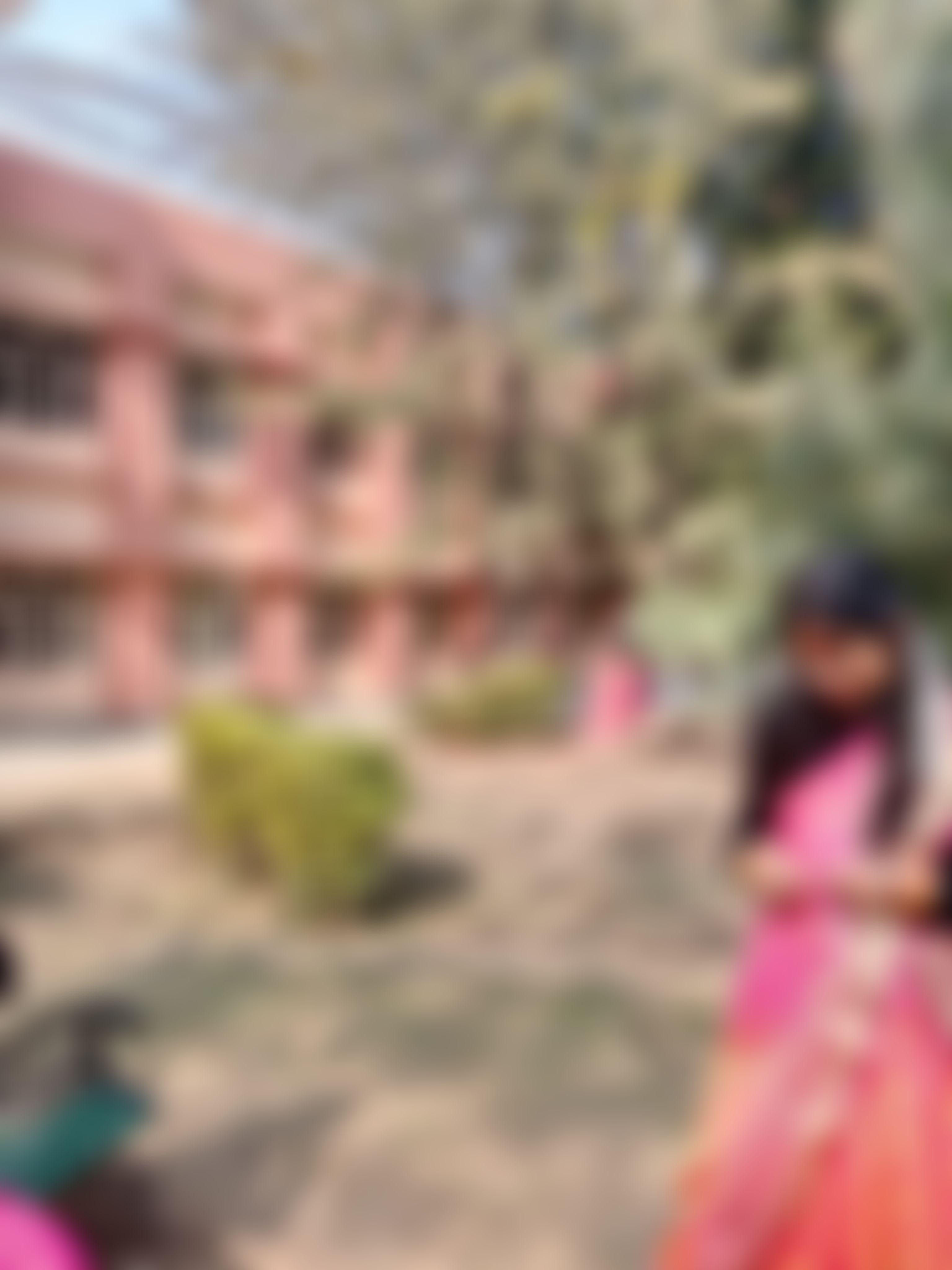 SRHU Campus photo (17) by Shalini Bisht