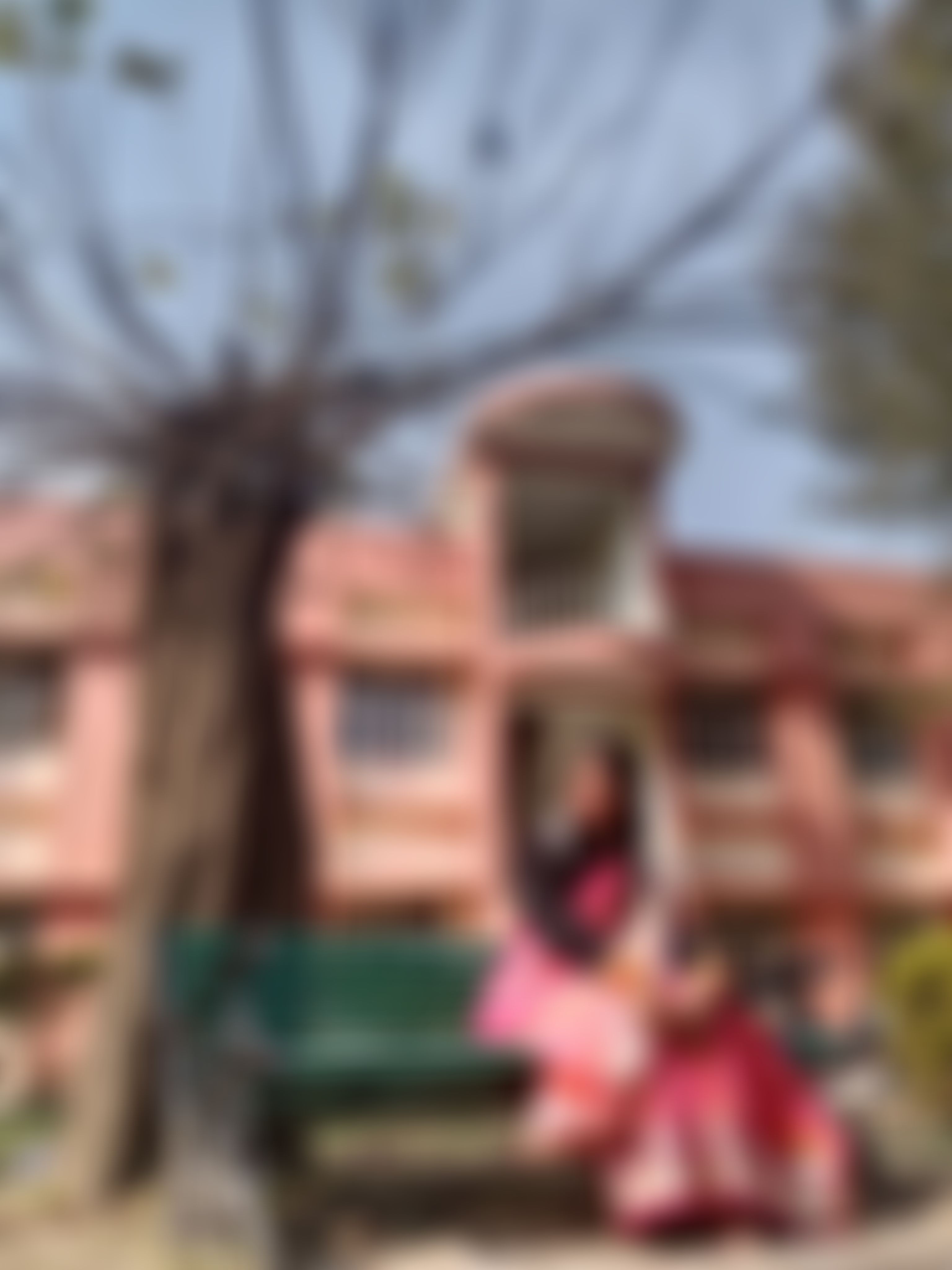 SRHU Infrastructure & Academic Building photo (16) by Shalini Bisht