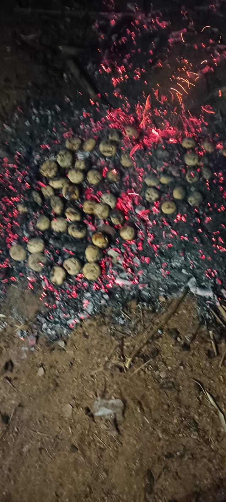 University of Hyderabad Extra-Curricular photo (19) by Ranveer