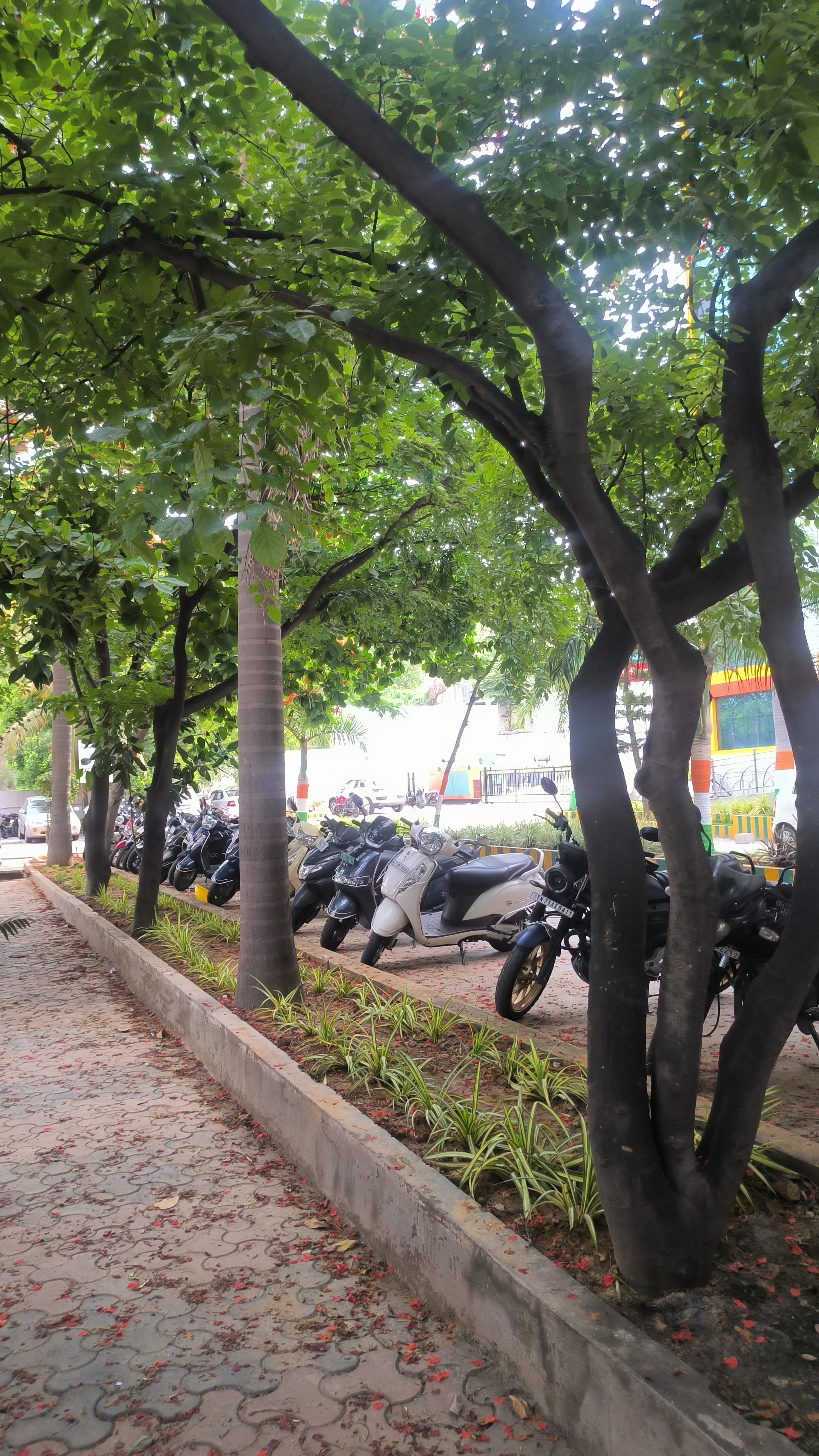 RRCE Convocation & Festivals photo (20) by Sujith