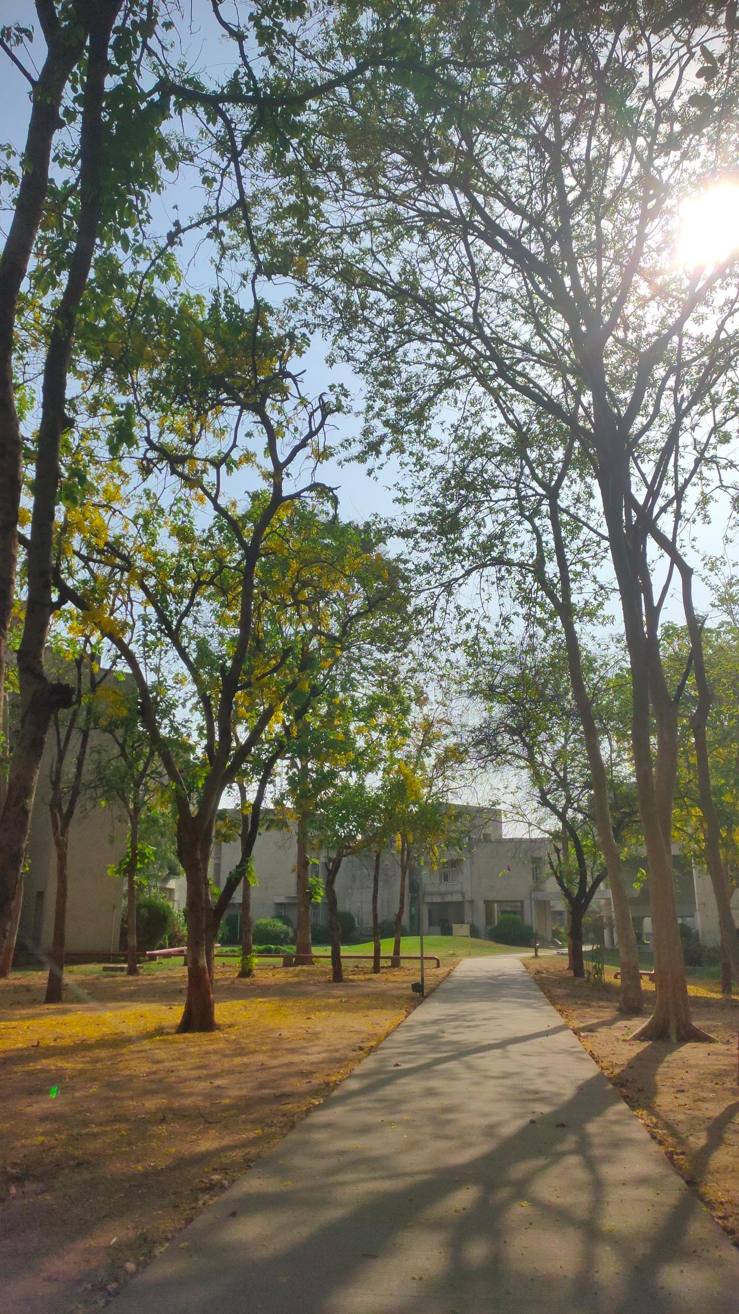 "Tribhuvan" Sahkari University Campus photo (13) by sakshi