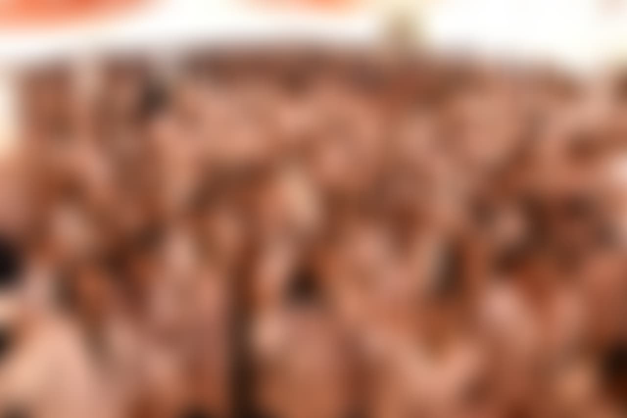 Mahayogi Gorakhnath University Gorakhpur Extra-Curricular photo (6) by Mansi Rai