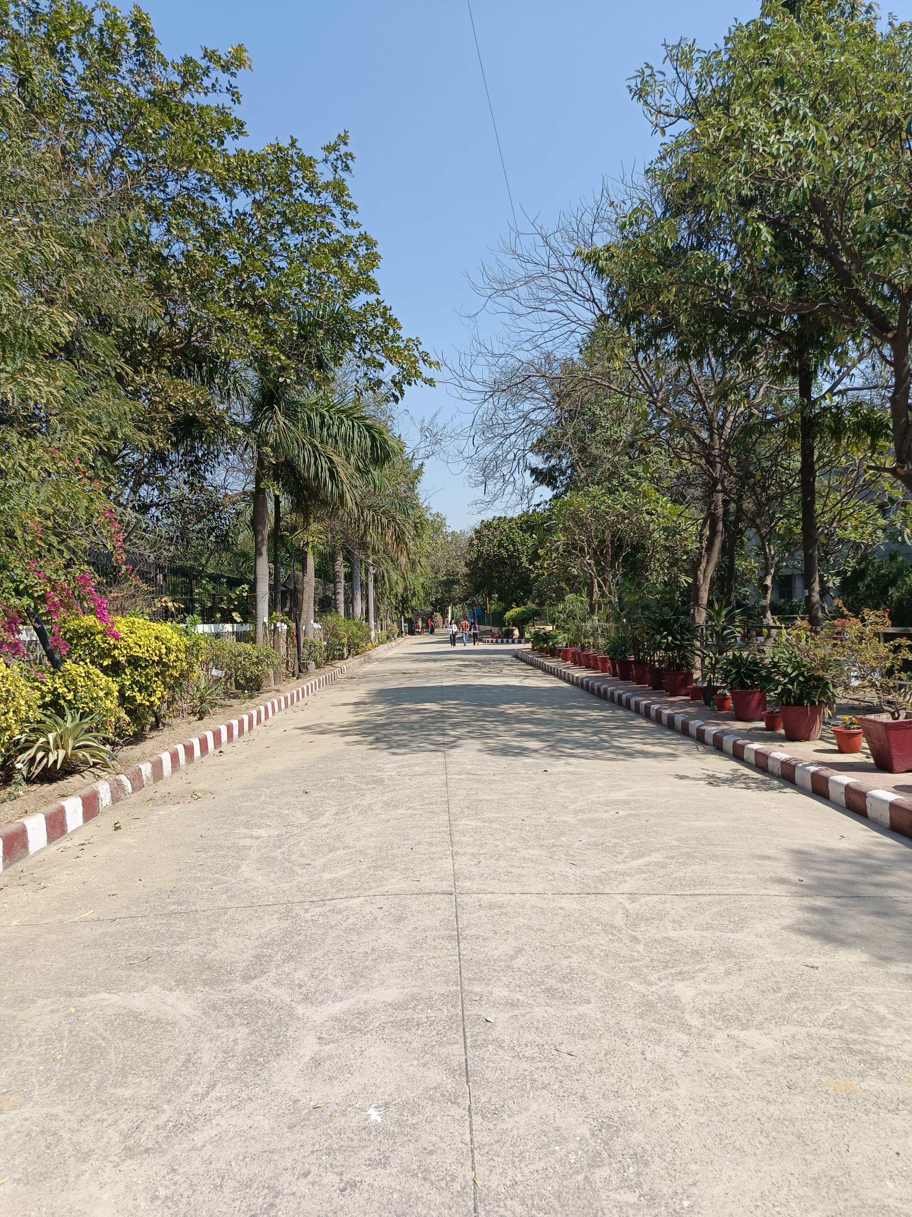 Swami Shraddhanand College Campus photo (19) by Aditya Raj