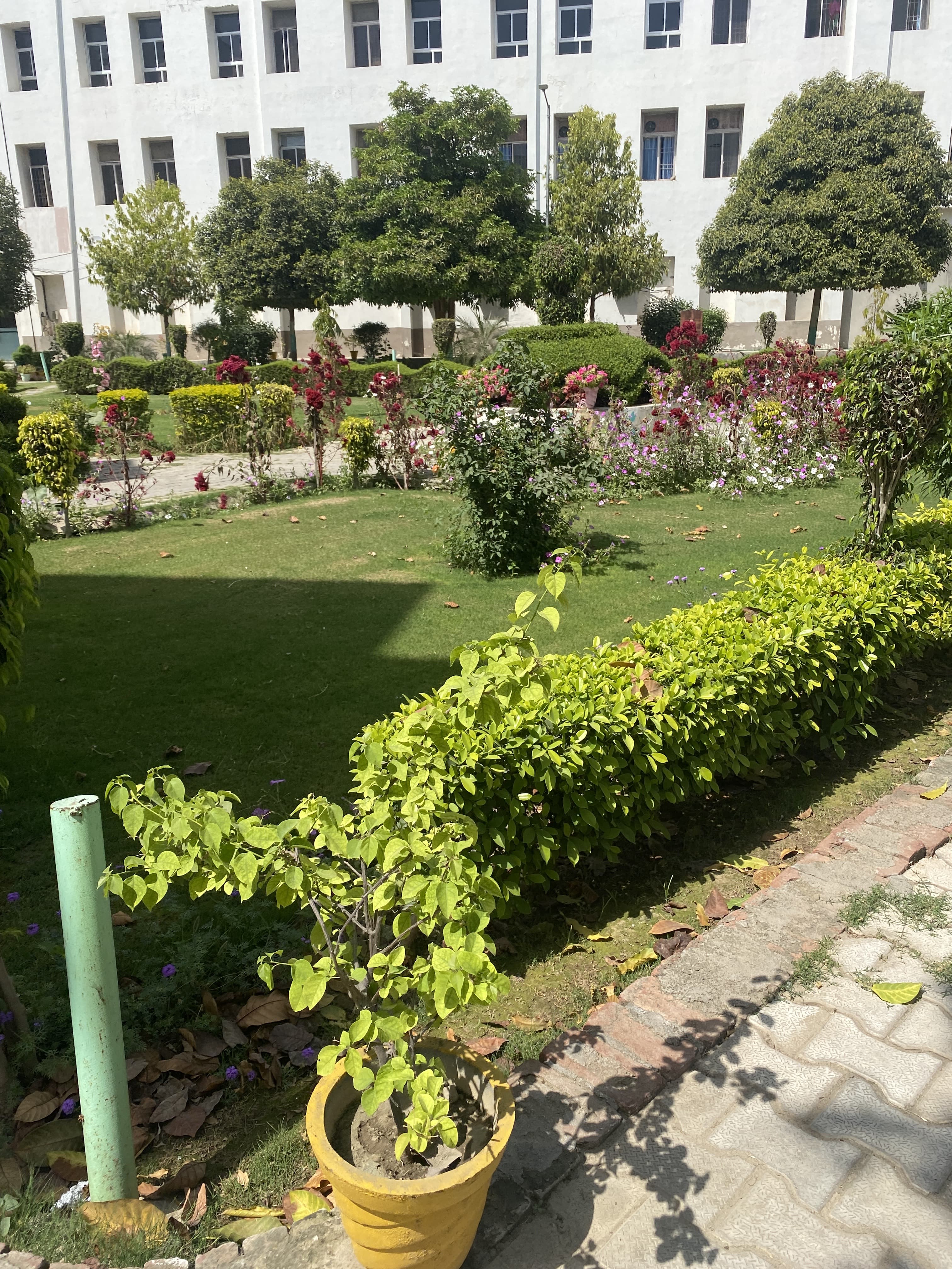 FH Medical College Agra Infrastructure & Academic Building photo (12) by Sakshi Suman