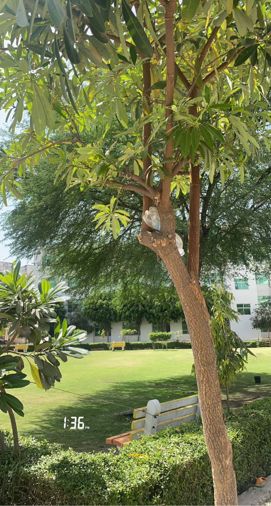 FH Medical College Agra Infrastructure & Academic Building photo (13) by Sakshi Suman