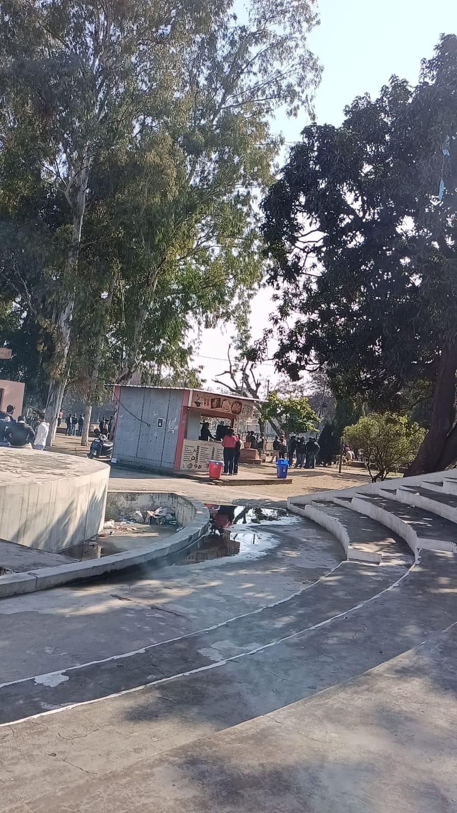 SCD Government College Ludhiana Campus photo (3) by Muskan Arora