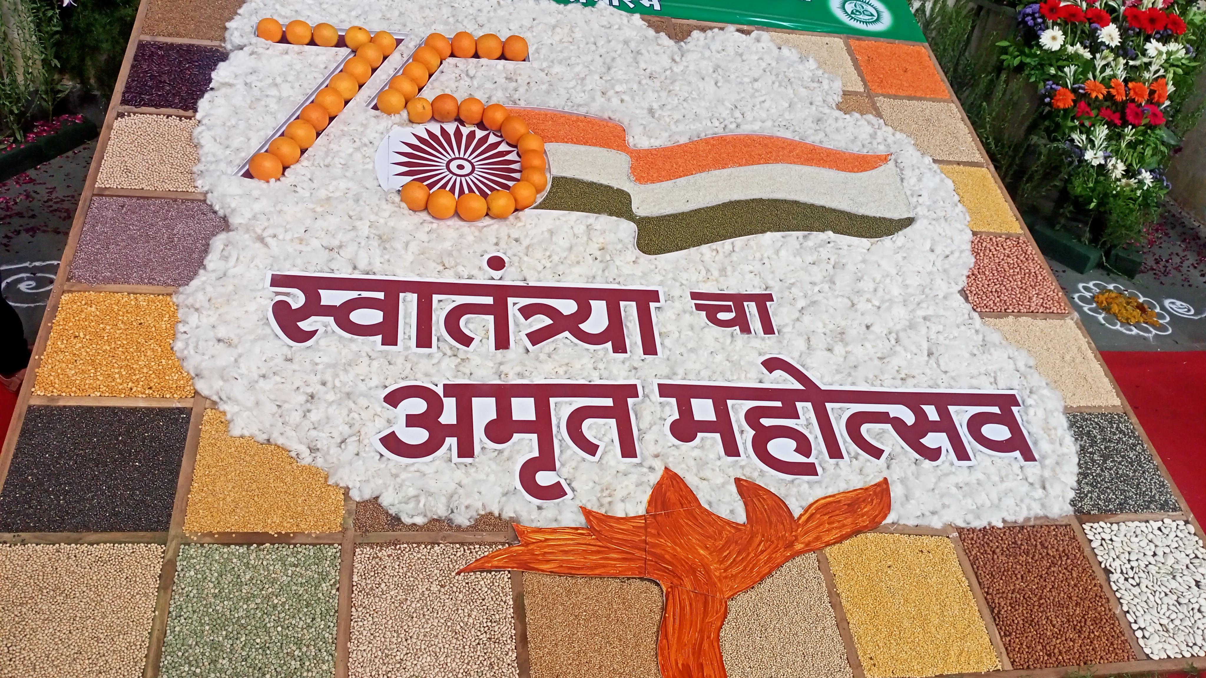 PDKV Convocation & Festivals photo (11) by Nikhil Madankar