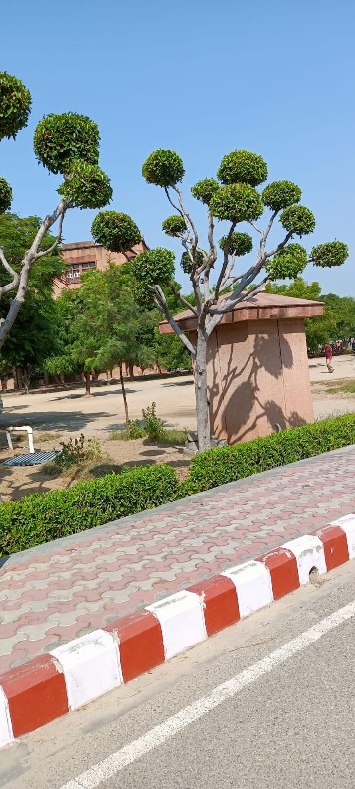 JSS Noida Campus photo (15) by Ayush Verma