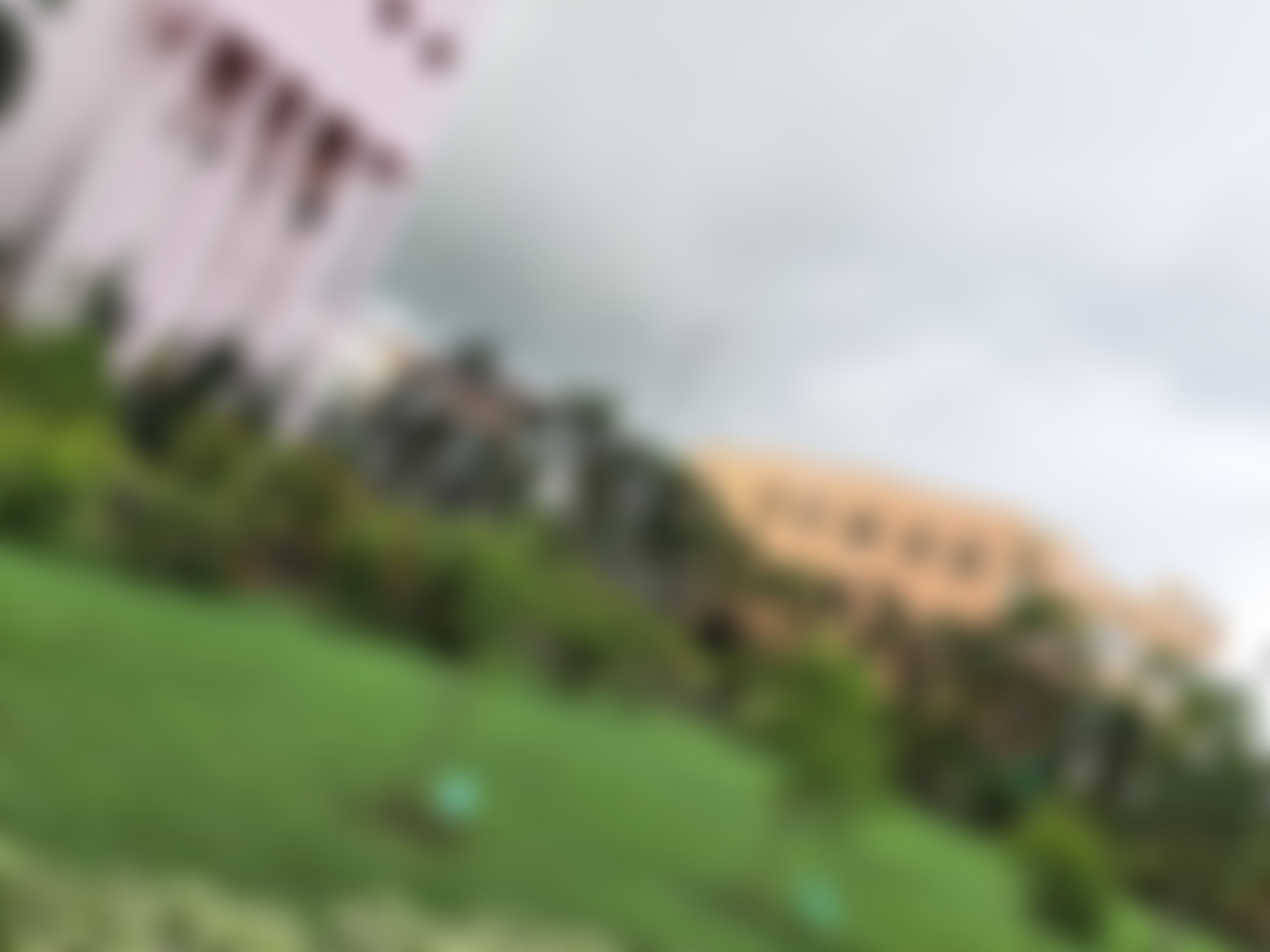 NLUO Cuttack Infrastructure & Academic Building photo (6) by Shreya Singh