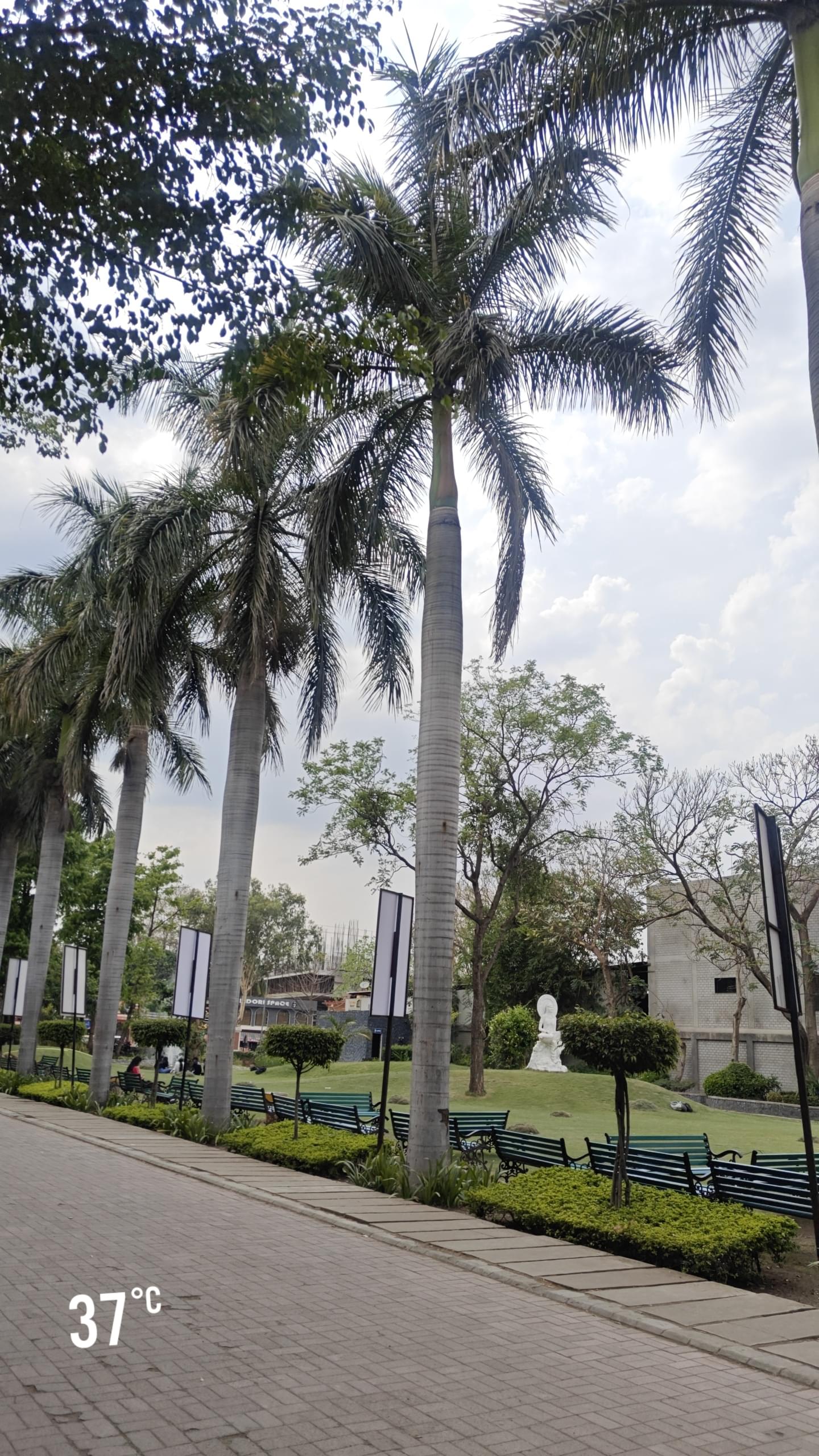 IPS Academy, Institute of Engineering and Science Indore Campus photo (6) by Dheeranshi Jarwal