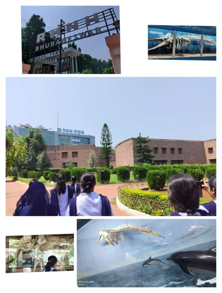 GEC Bhubaneswar Extra-Curricular photo (5) by Shaswat Mishra