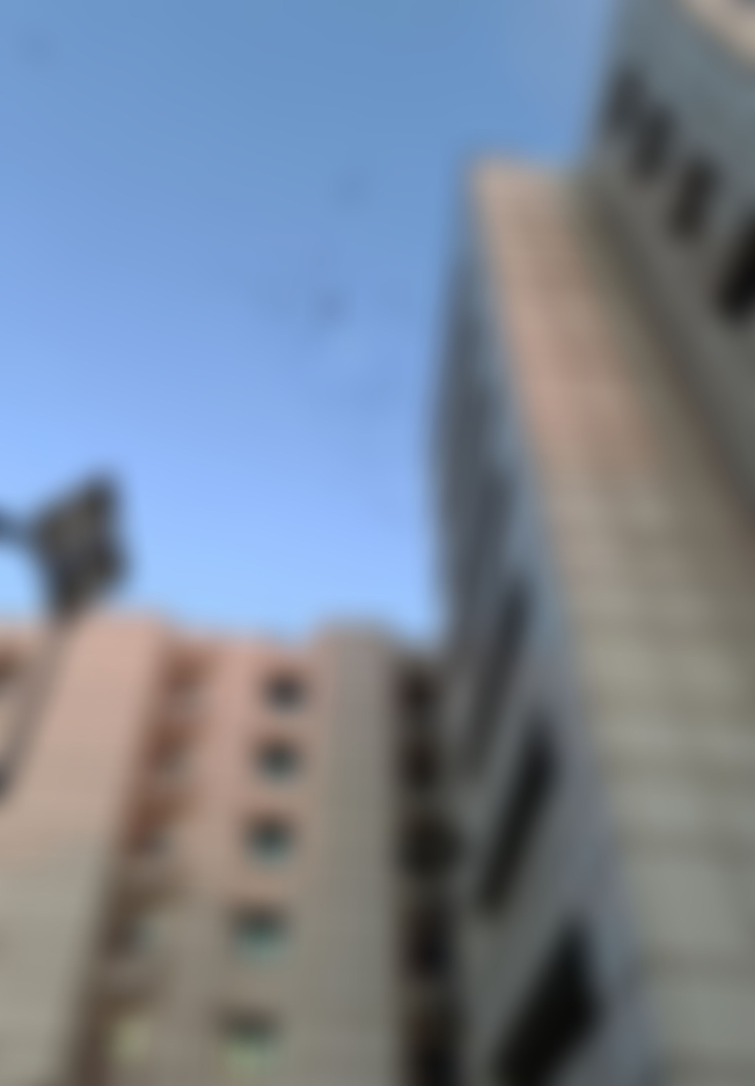 Shaheed Sukhdev College of Business Studies Campus photo (18) by Sumit Kumar