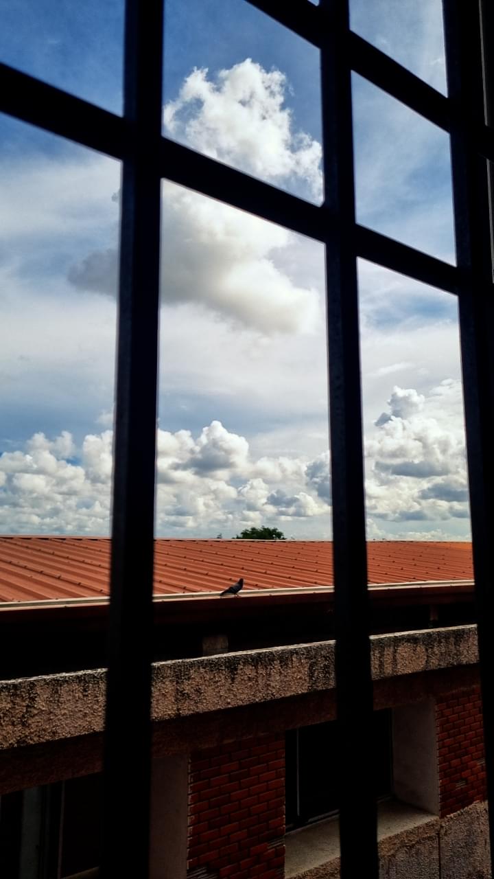 SRIHER Infrastructure & Academic Building photo (4) by deepika