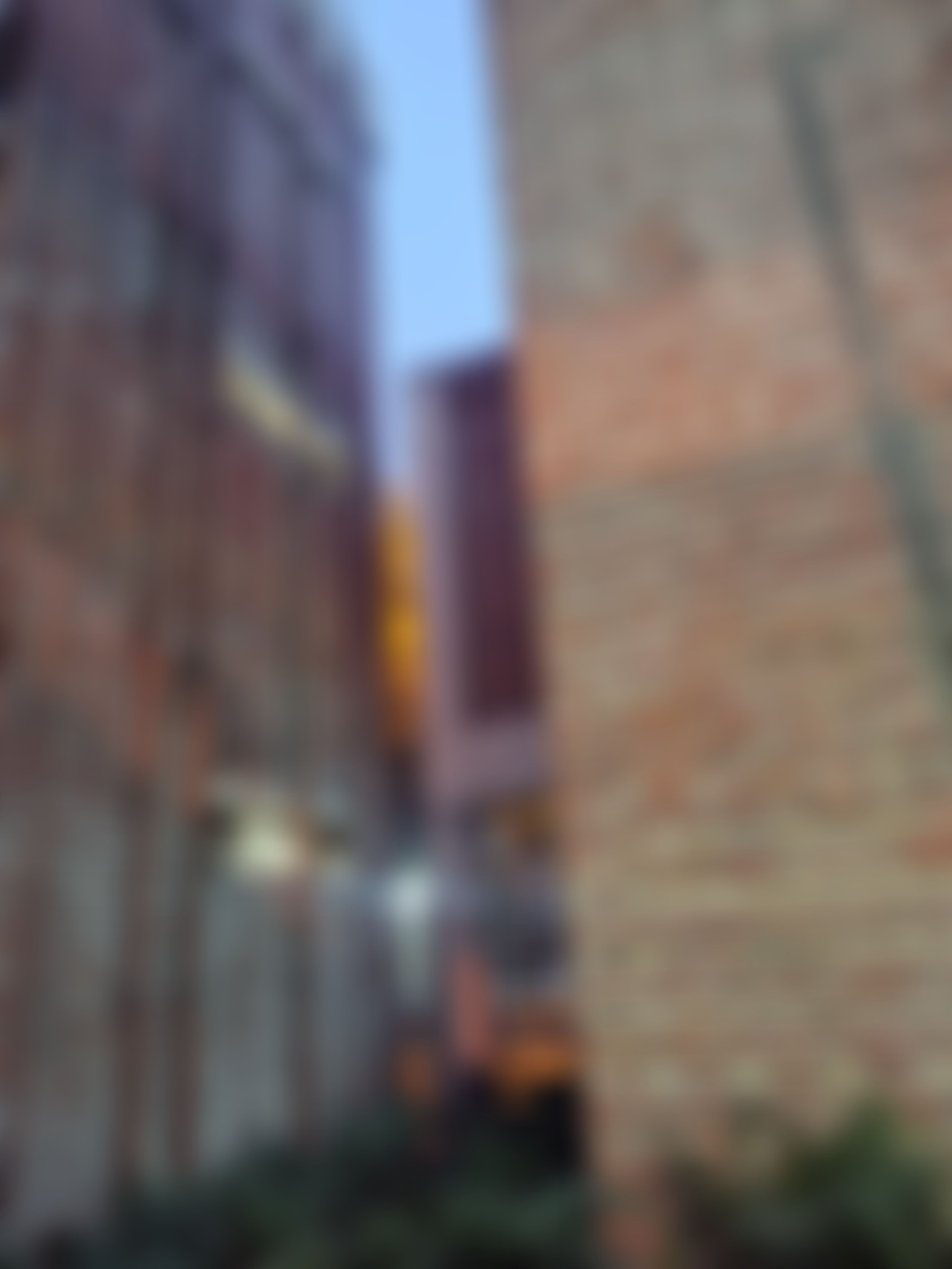 Bharati College Campus photo (11) by Satanshi Singh