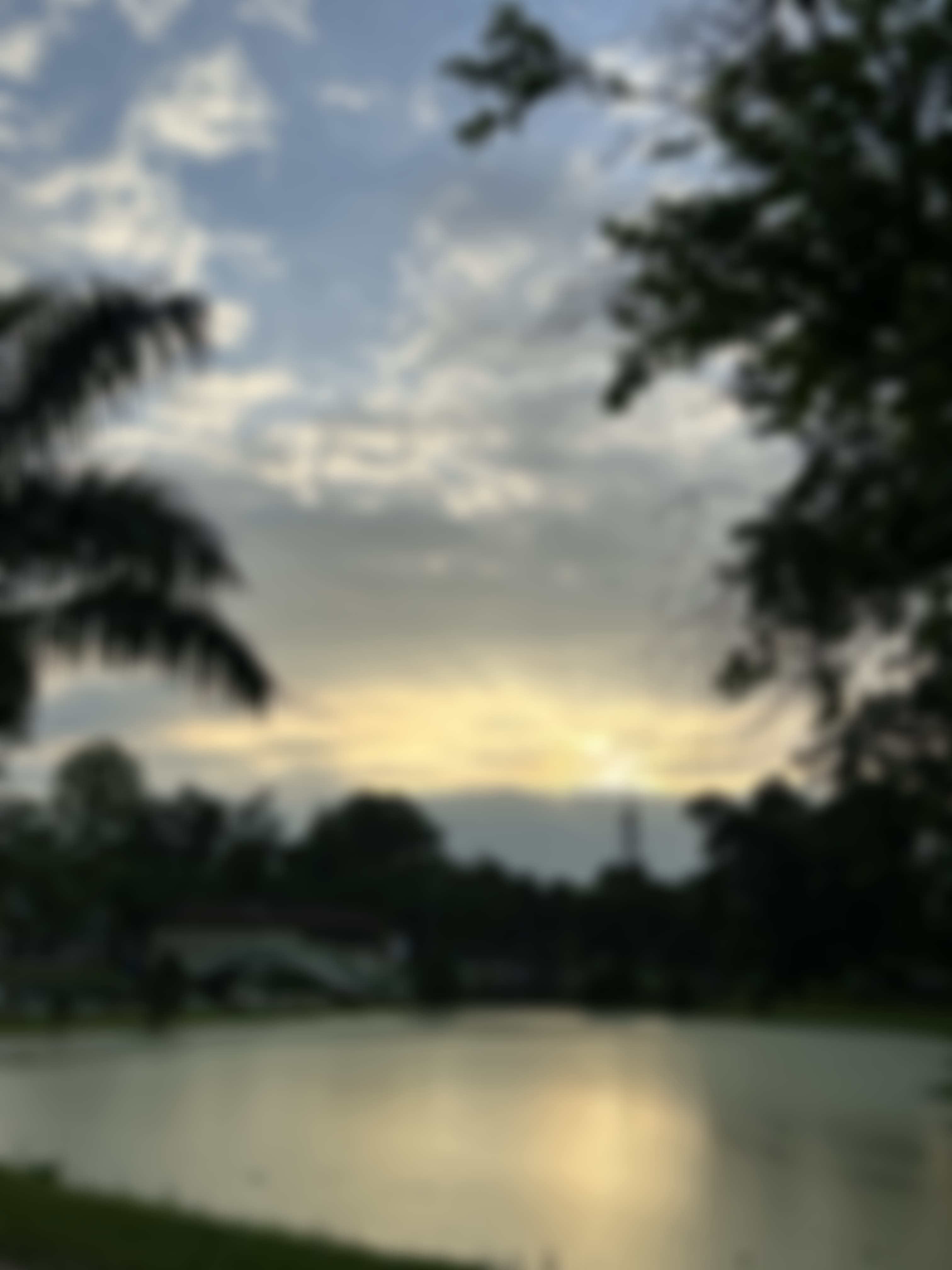 Assam Agricultural University Jorhat Campus photo (17) by Badanginee
