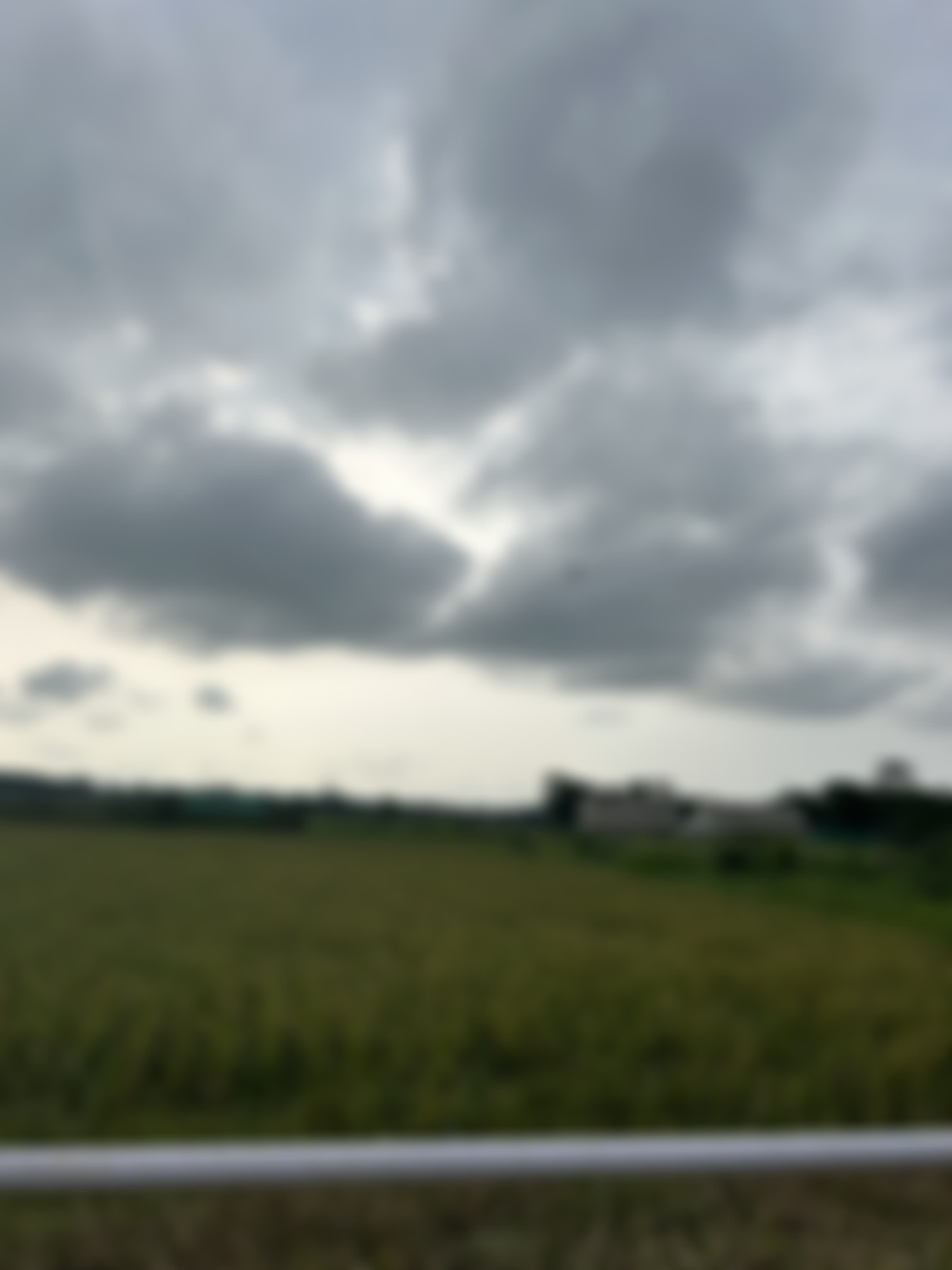 Assam Agricultural University Jorhat Campus photo (18) by Badanginee