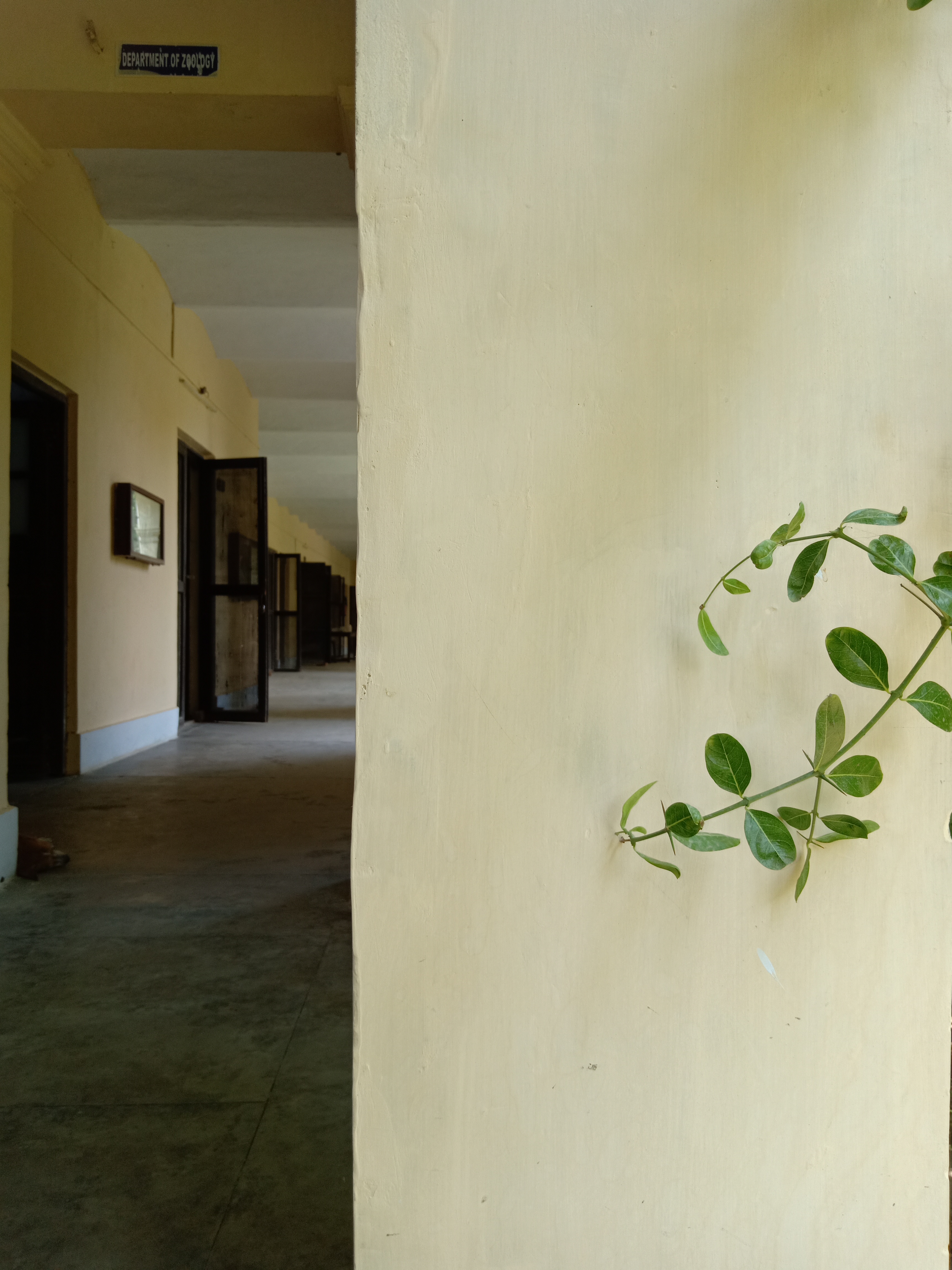 Isabella Thoburn Degree College Lucknow Campus photo (8) by Sumaiya Irshad