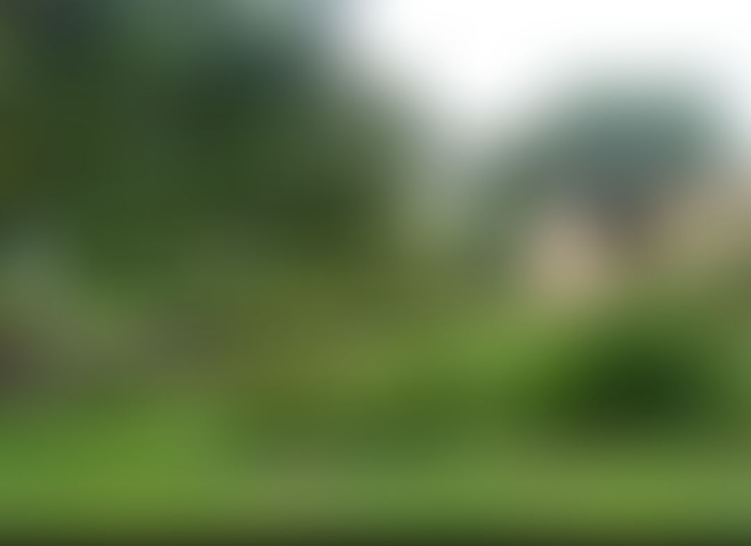 Isabella Thoburn Degree College Lucknow Campus photo (11) by Sumaiya Irshad