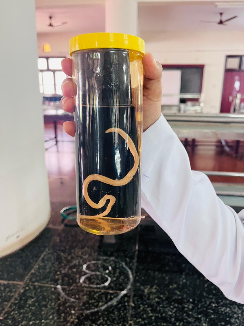 Yenepoya Dental College Mangalore General photo (12) by Ajith ED