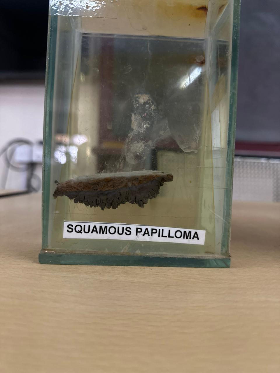 Yenepoya Dental College Mangalore General photo (10) by Ajith ED