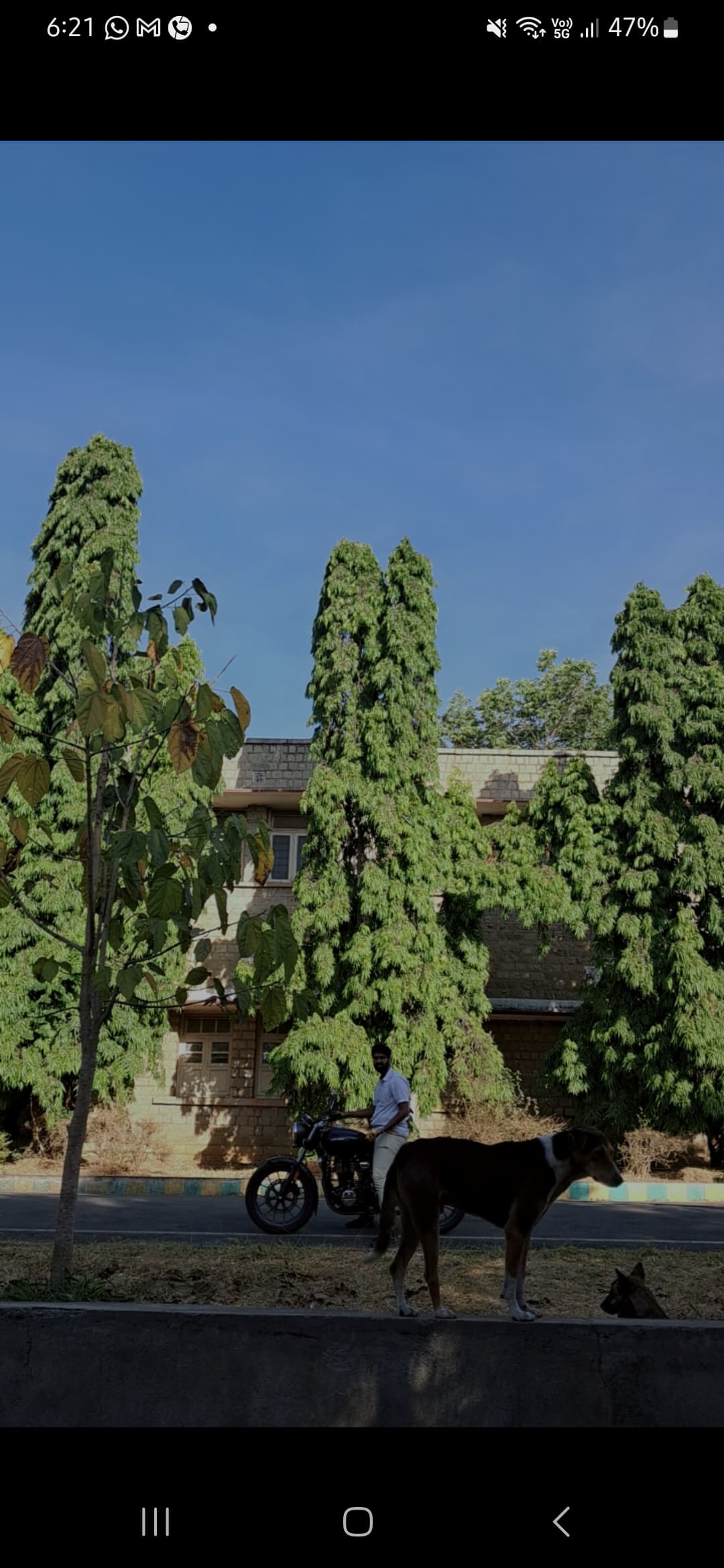 KVAFSU Infrastructure & Academic Building photo (6) by Chesna T