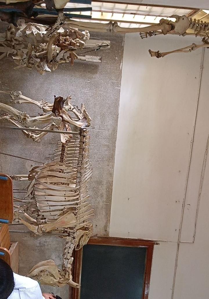 KVAFSU Facilities & Labs photo (3) by Chesna T