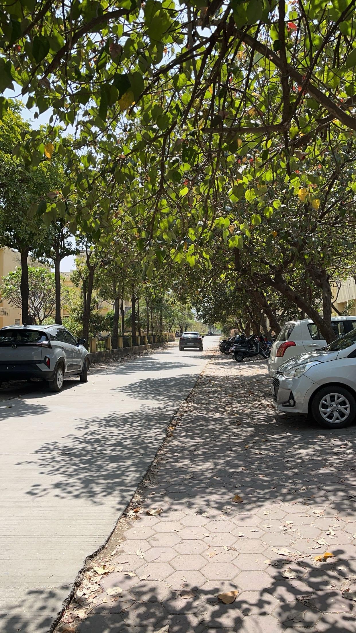 Devi Ahilya Vishwavidyalaya Indore Campus photo (15) by Soumya Katariya