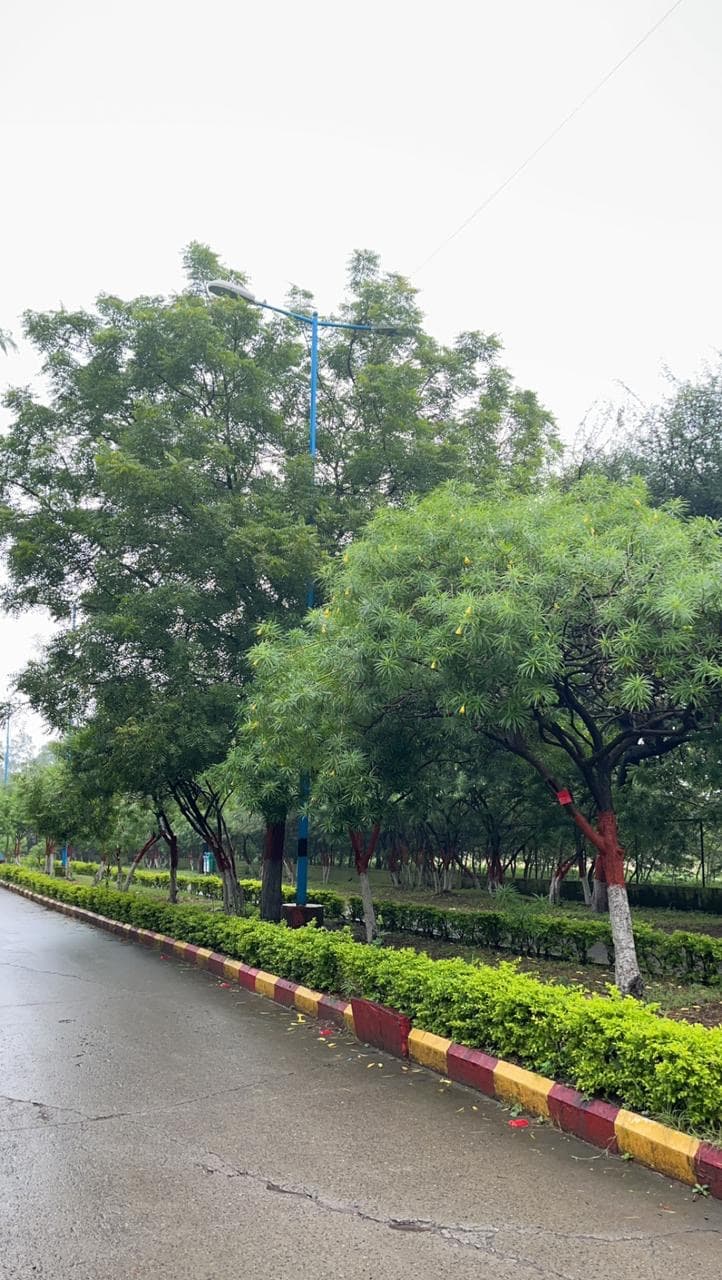 Devi Ahilya Vishwavidyalaya Indore Campus photo (16) by Soumya Katariya