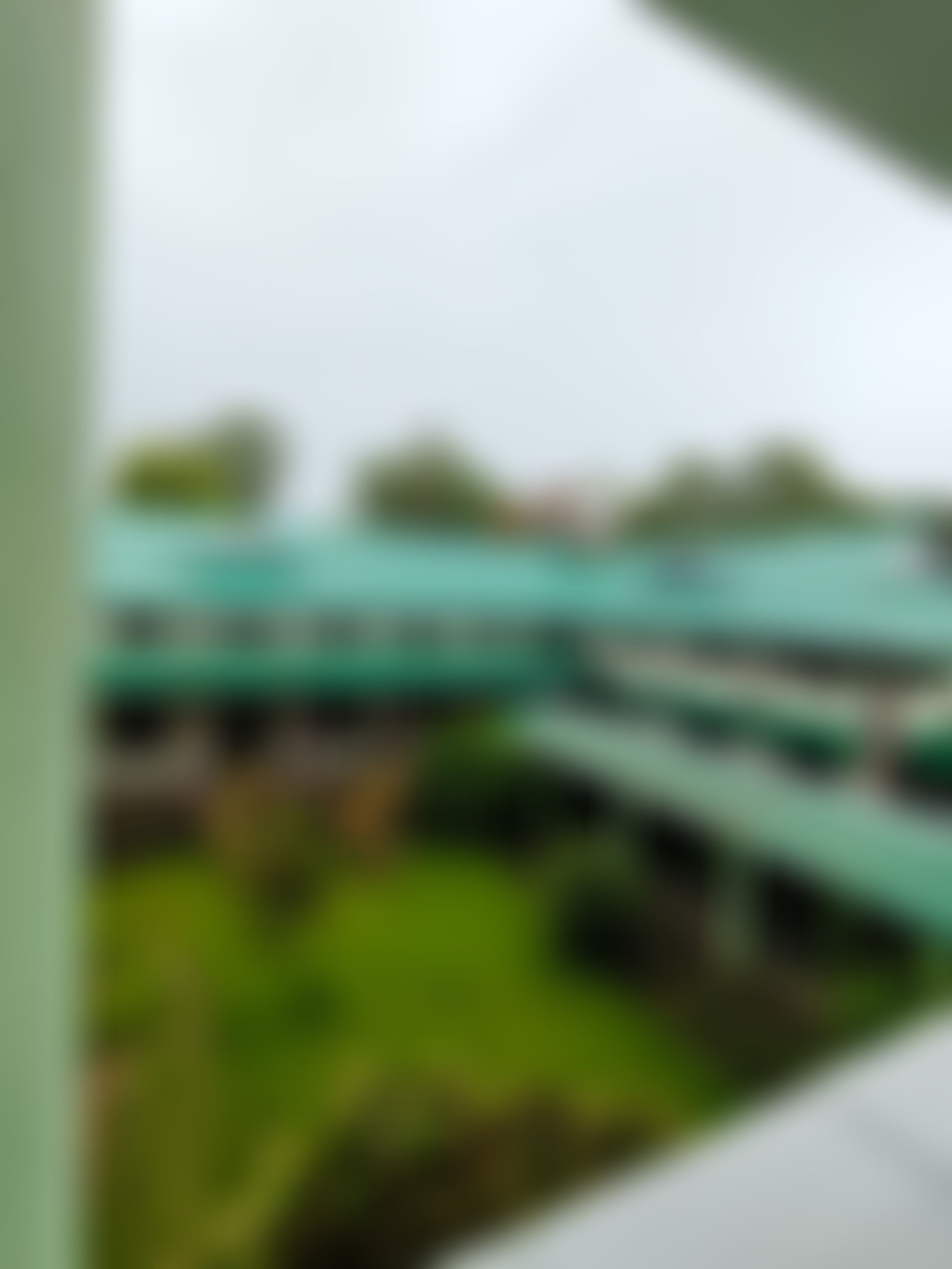 Darrang College Tezpur Campus photo (7) by AKASH SARANIA
