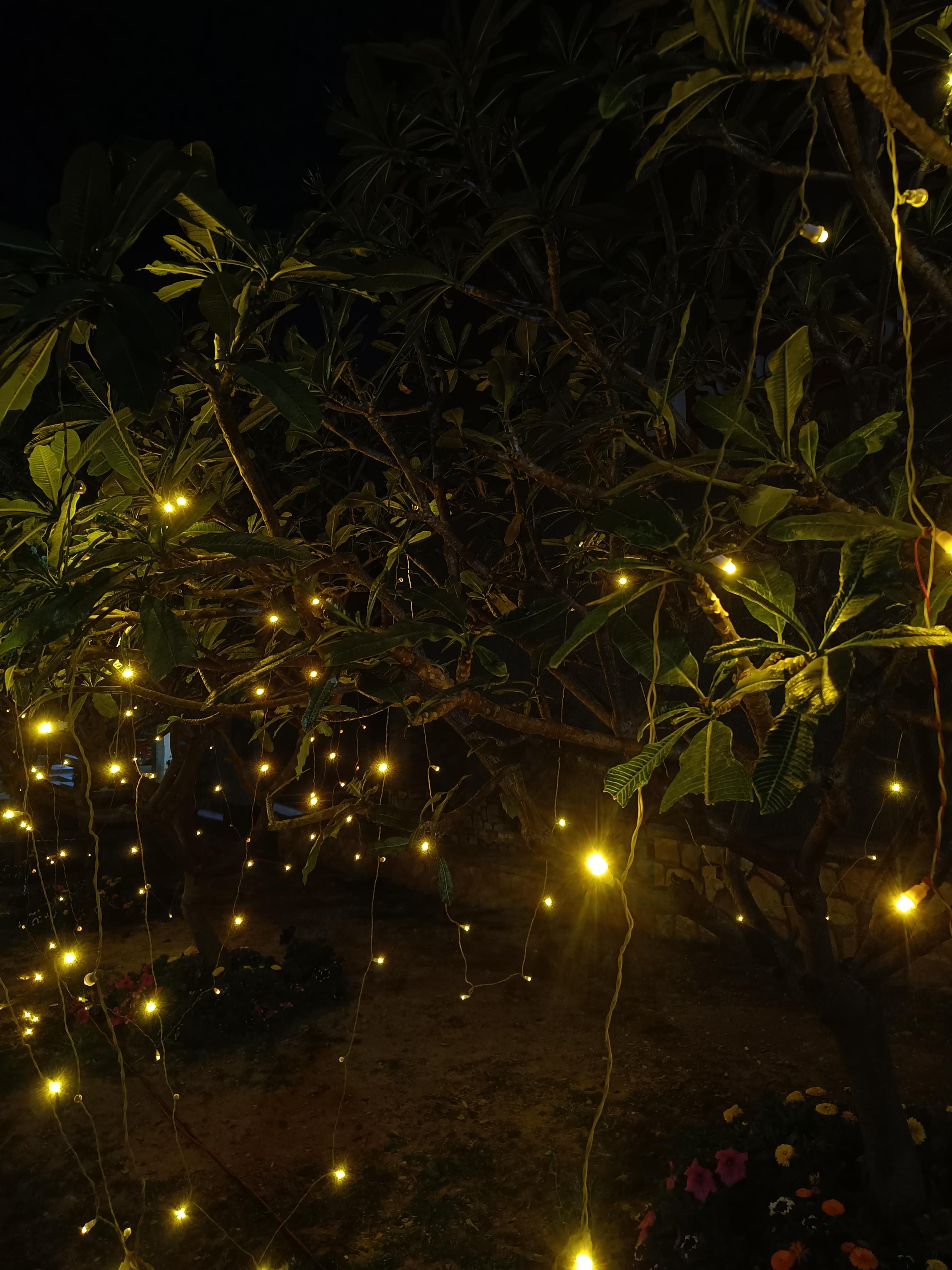 UPES Events photo 4