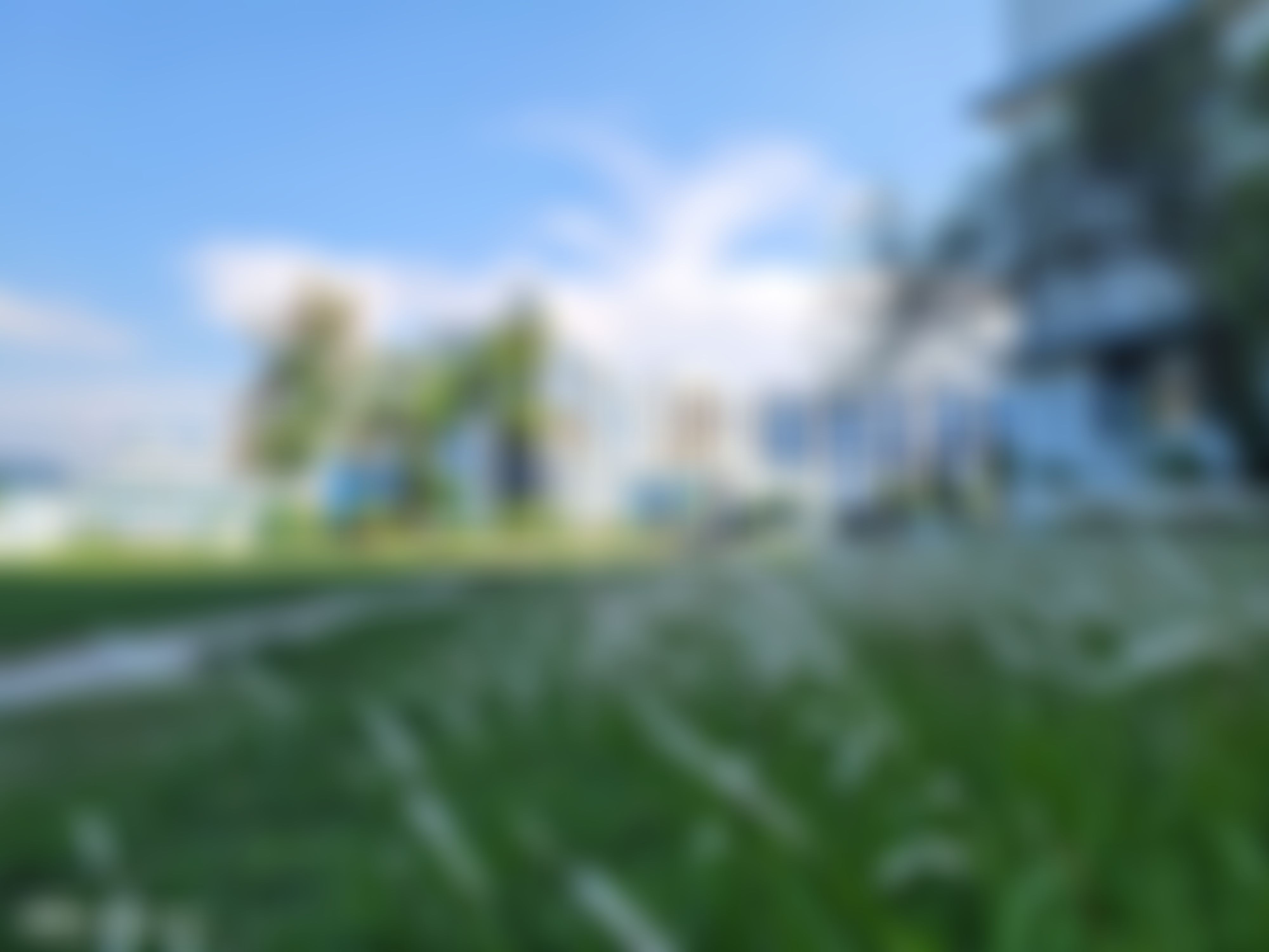 Aliah University Kolkata Campus photo (1) by MD SAHIN AHAMED