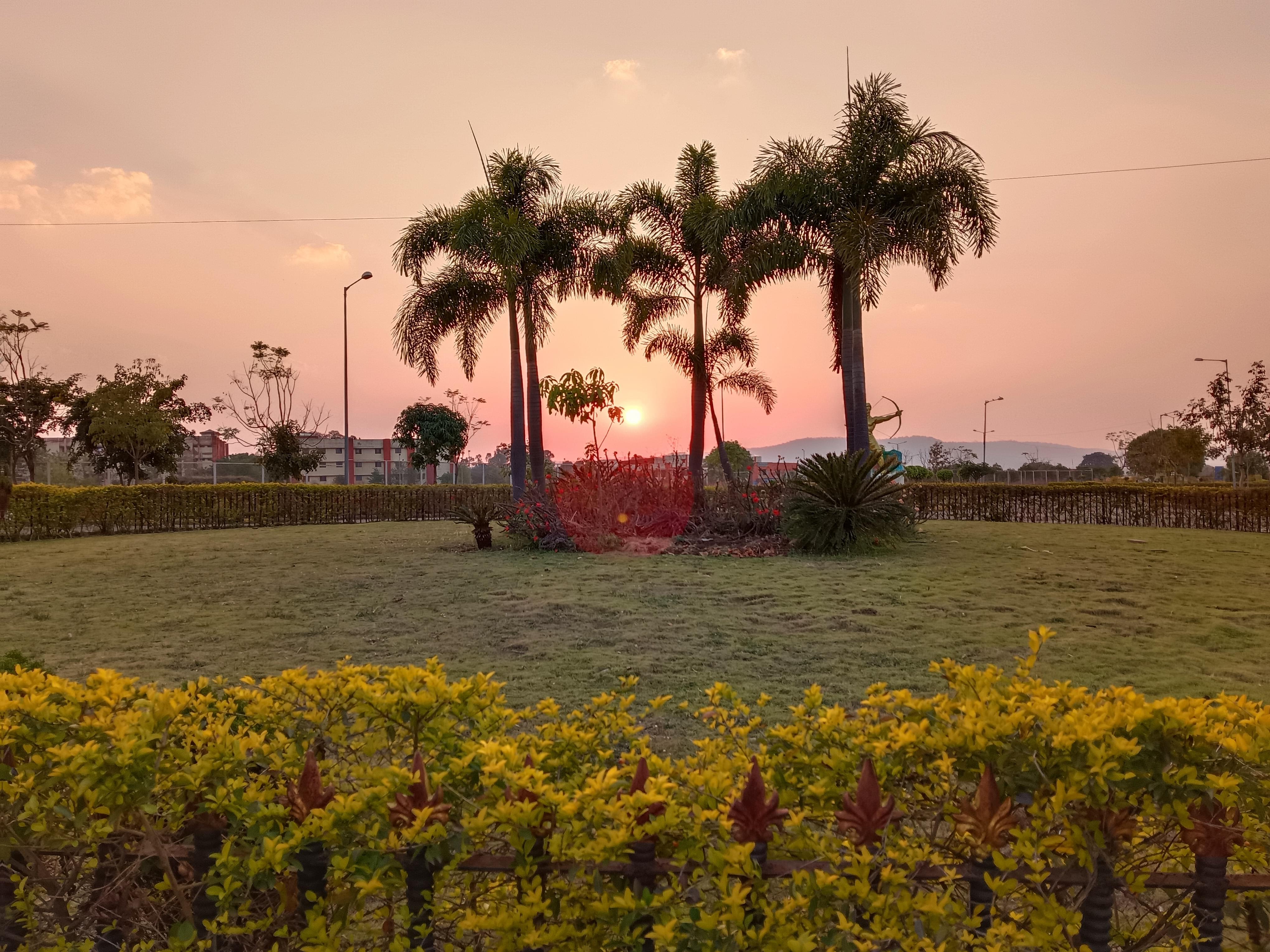 IGNTU Campus photo (12) by Arshiya Parveen