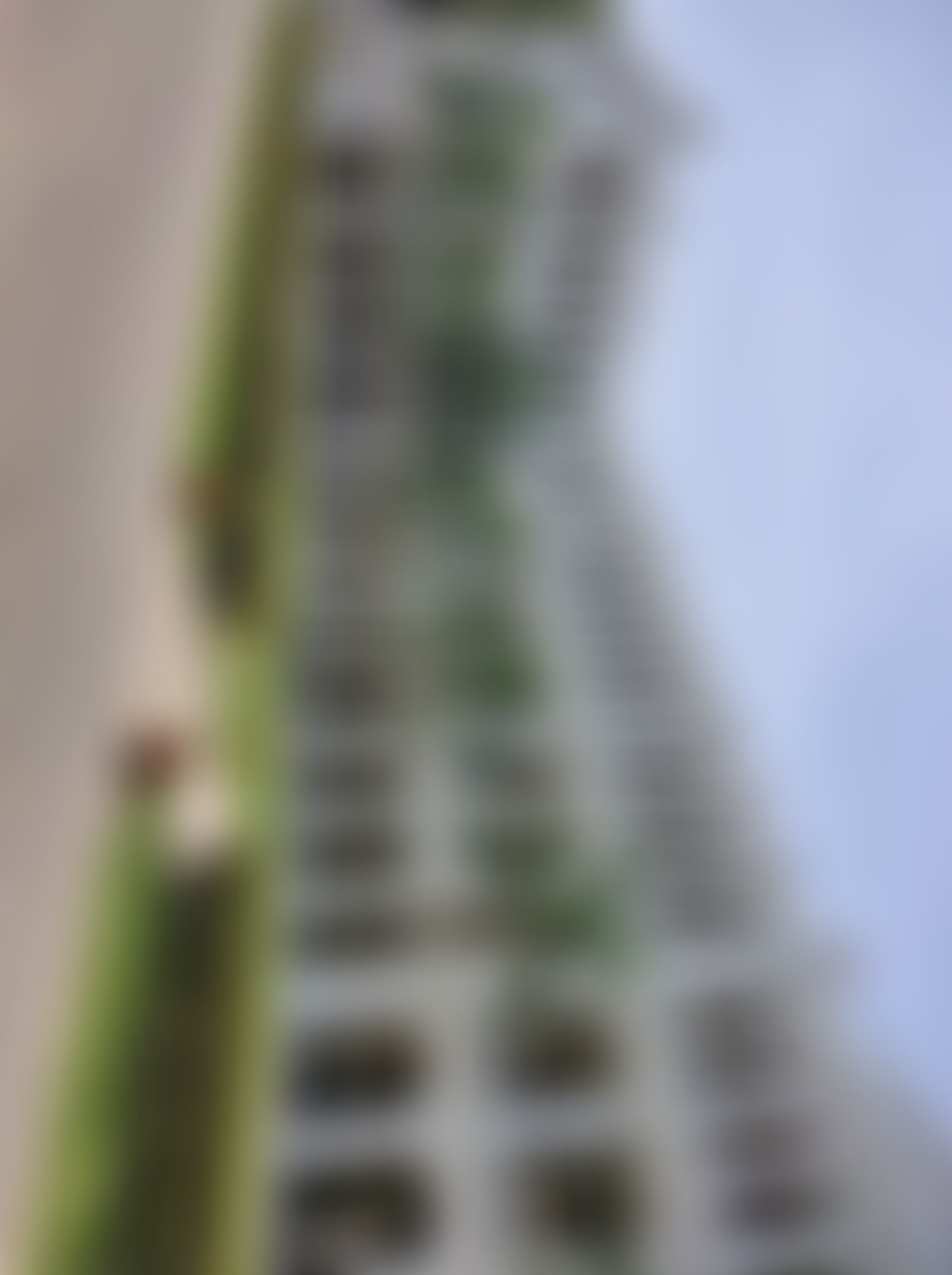 Loyola Chennai Campus photo (10) by Praveenbalaji S