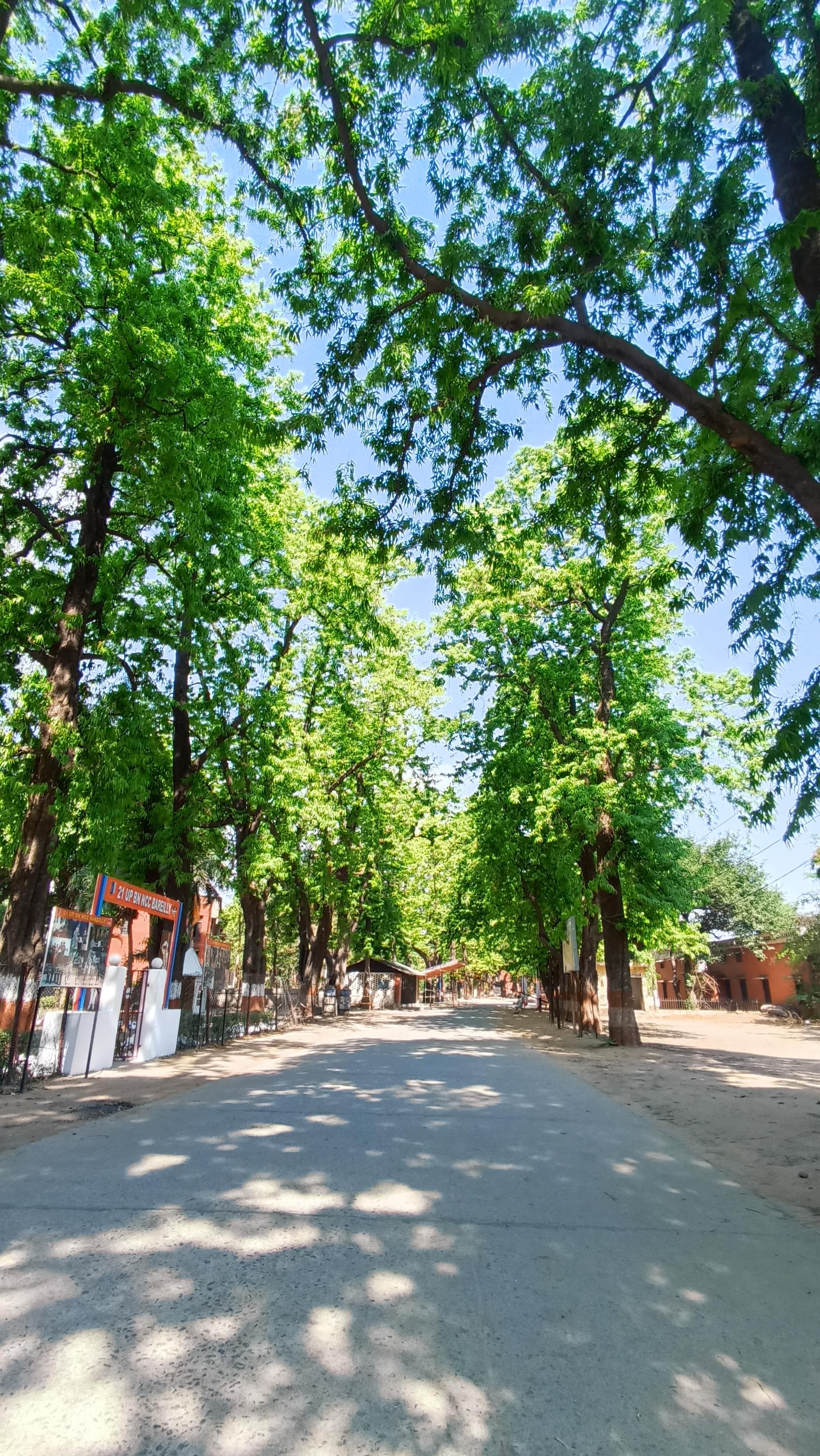 Bareilly College Campus photo 3