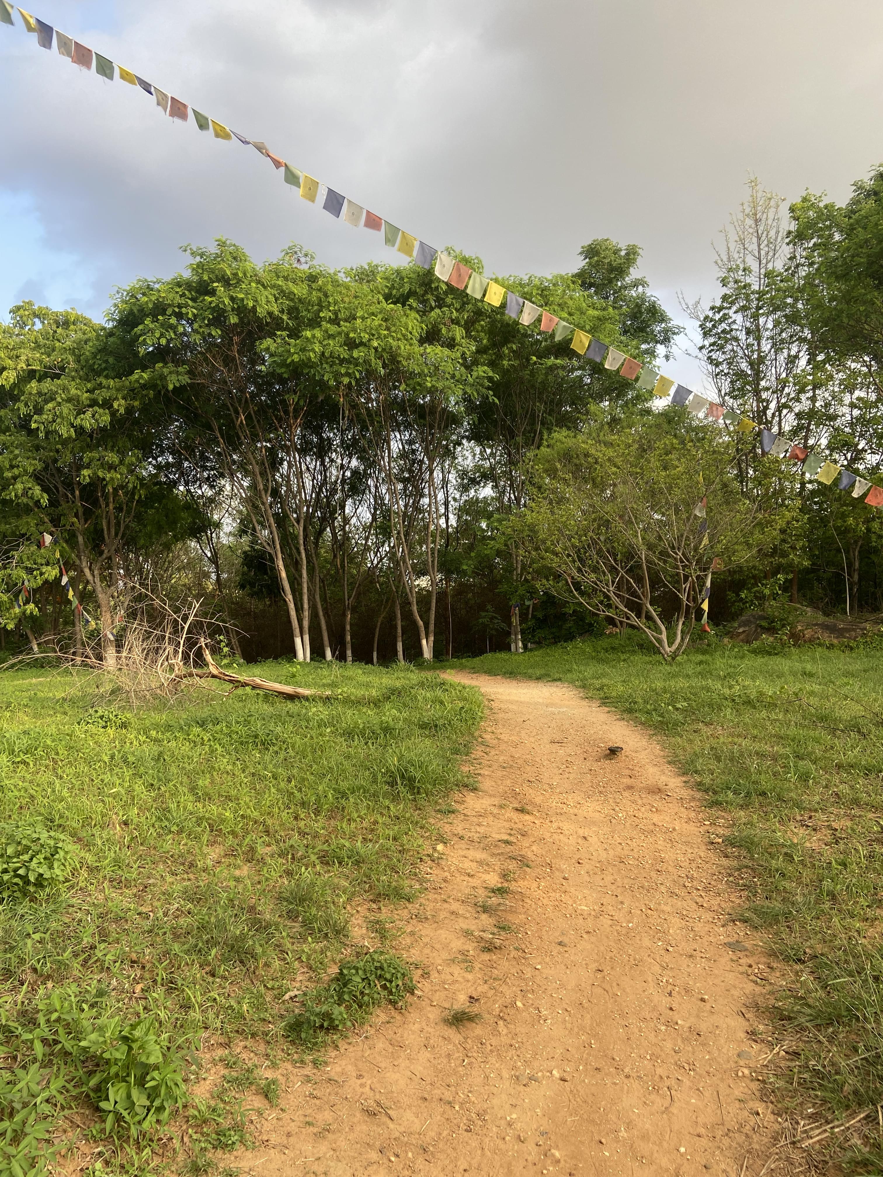 The Dalai Lama Institute for Higher Education Bangalore Campus photo 2