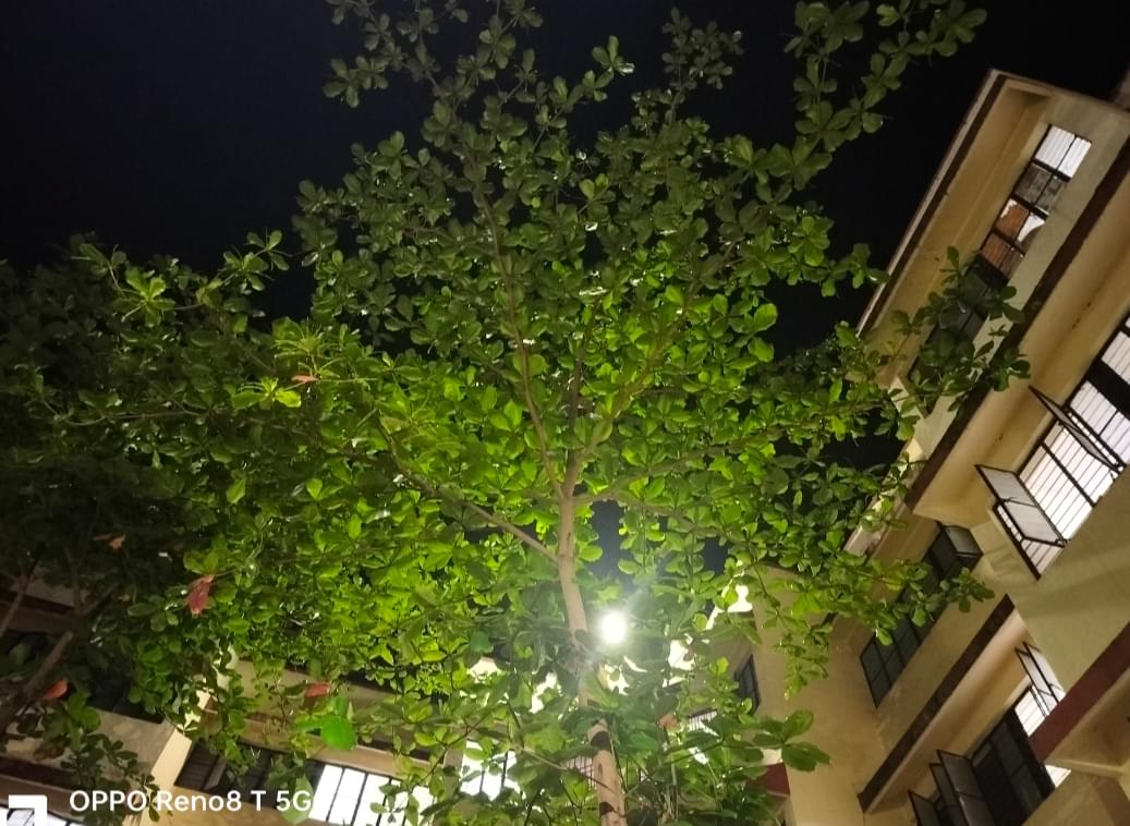 Bharati Vidyapeeth Hostels photo (5) by Aman yadav