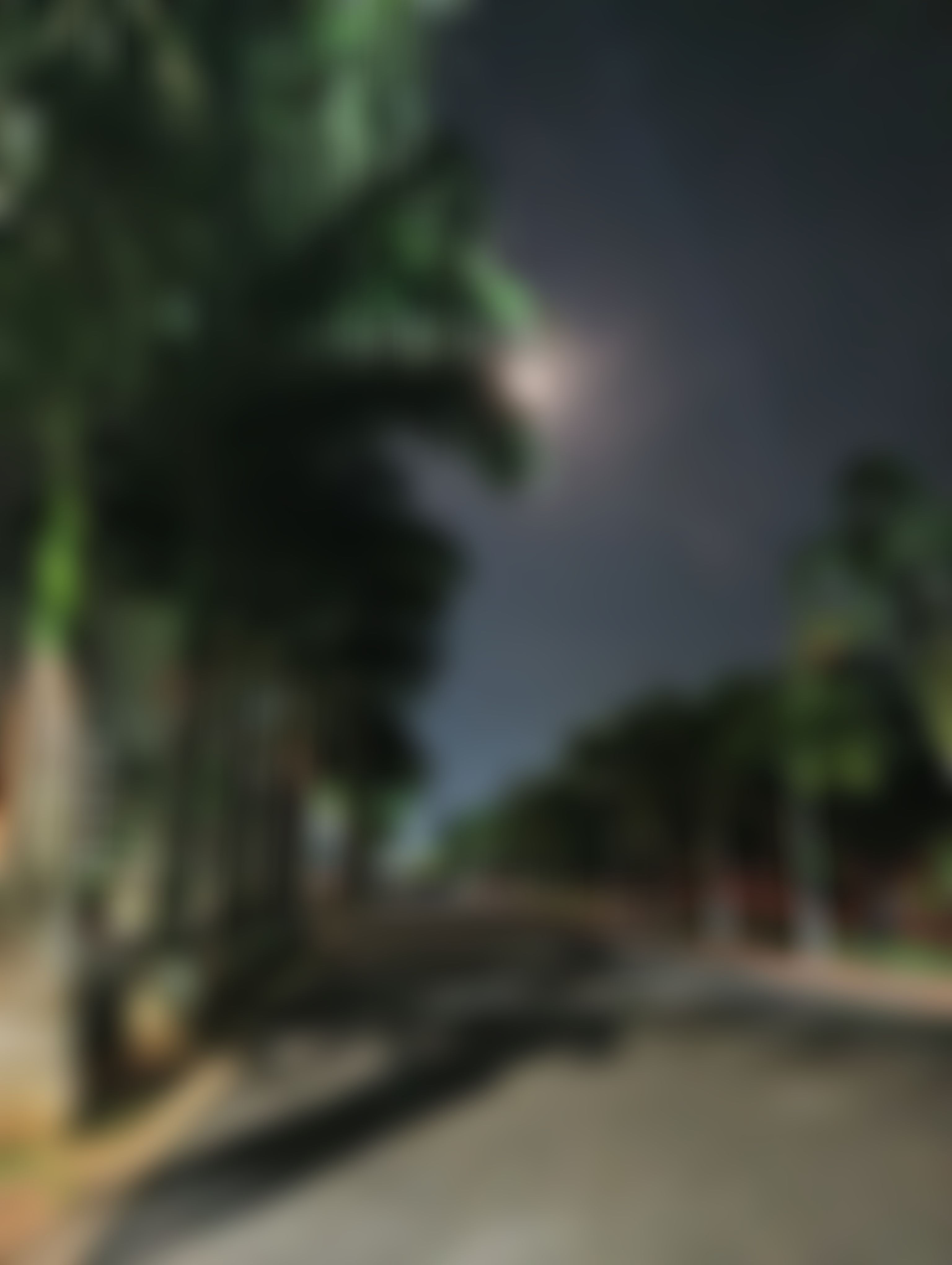 XIM University Campus photo (10) by Diya Das