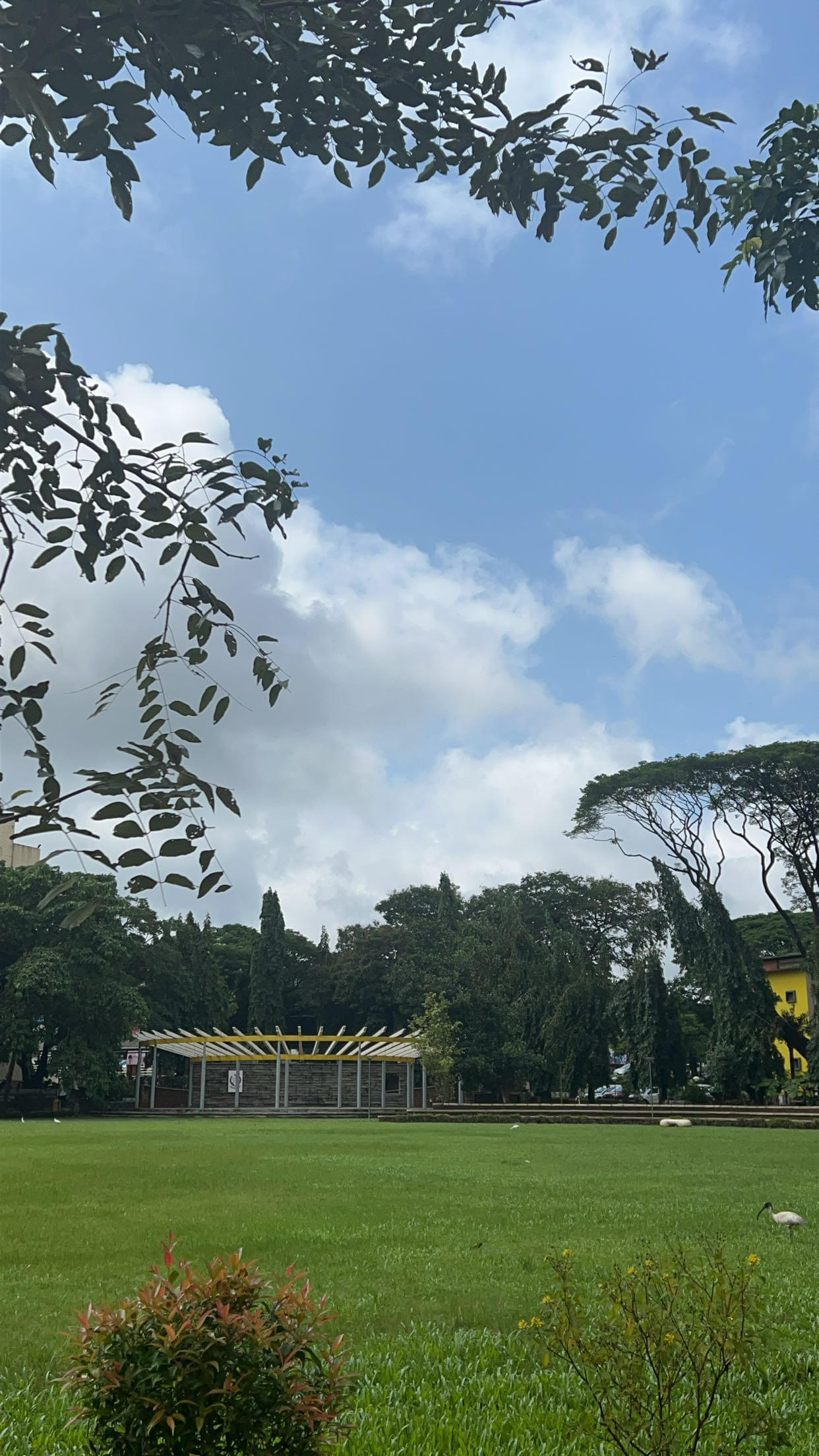 Manipal College of Health Professions Campus photo 7