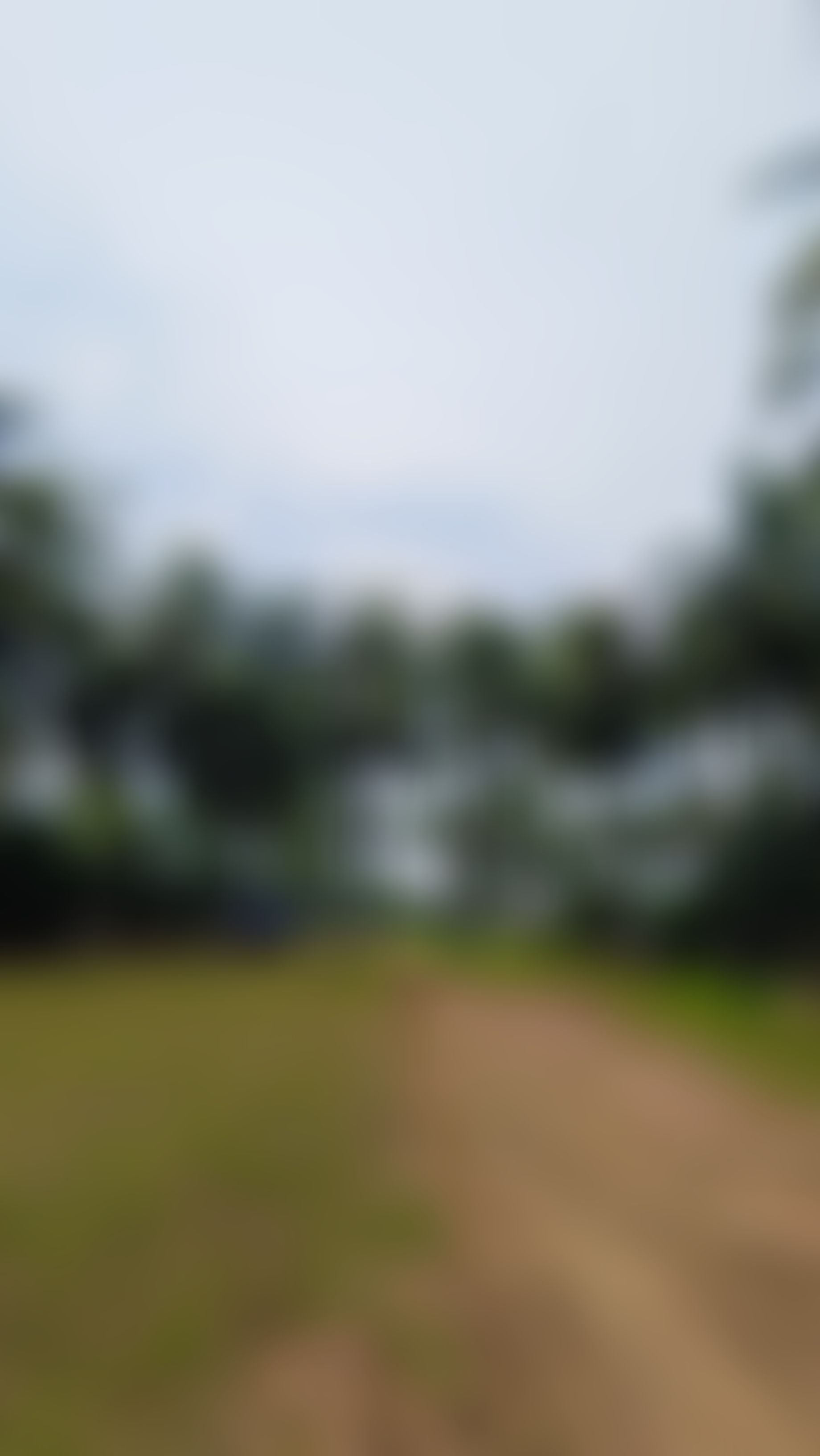 DRIEMS University Campus photo (17) by Nitish Kumar Sahoo