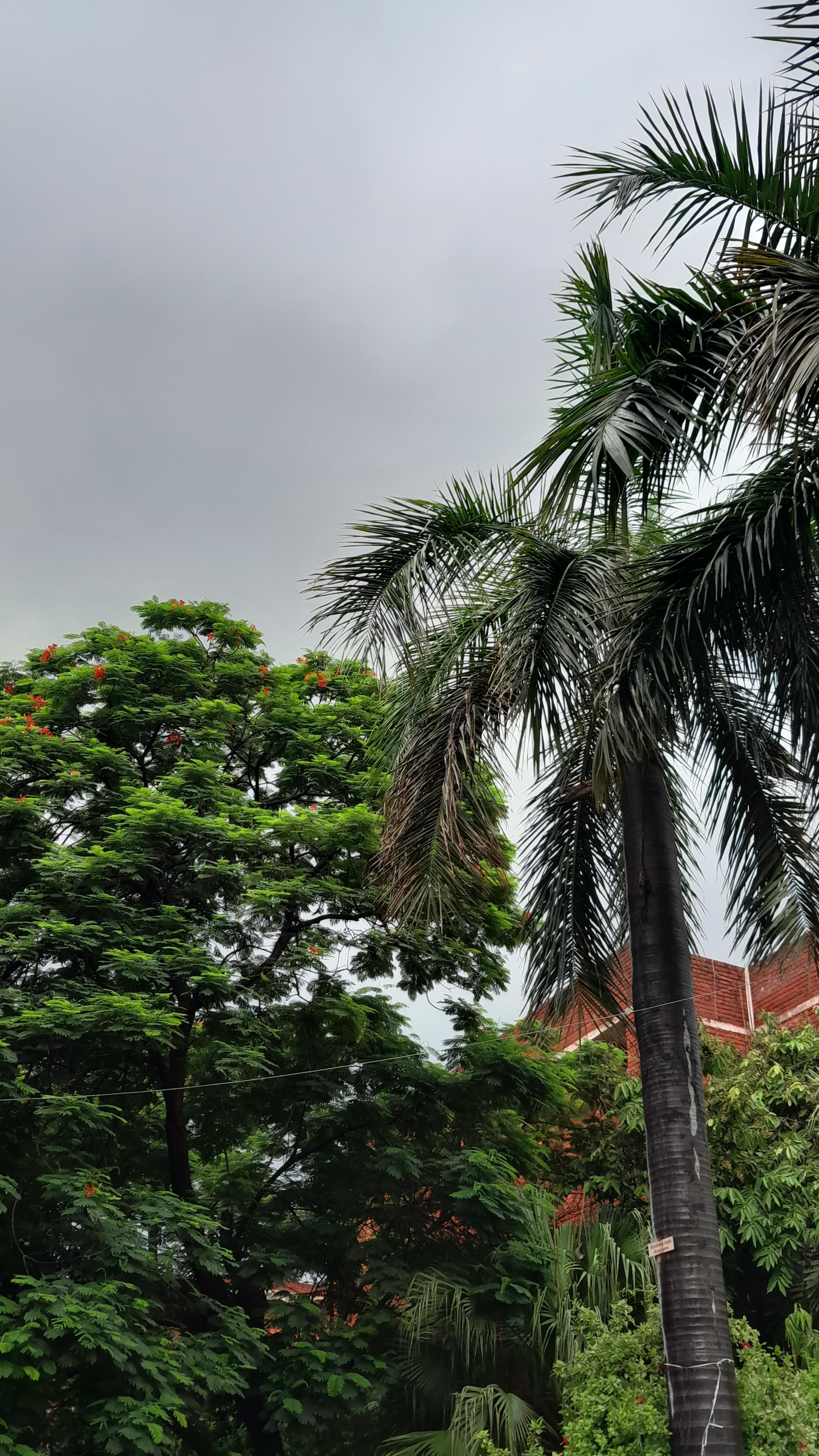 Shyama Prasad Mukherji College for Women Infrastructure & Academic Building photo (9) by Shreya Singh