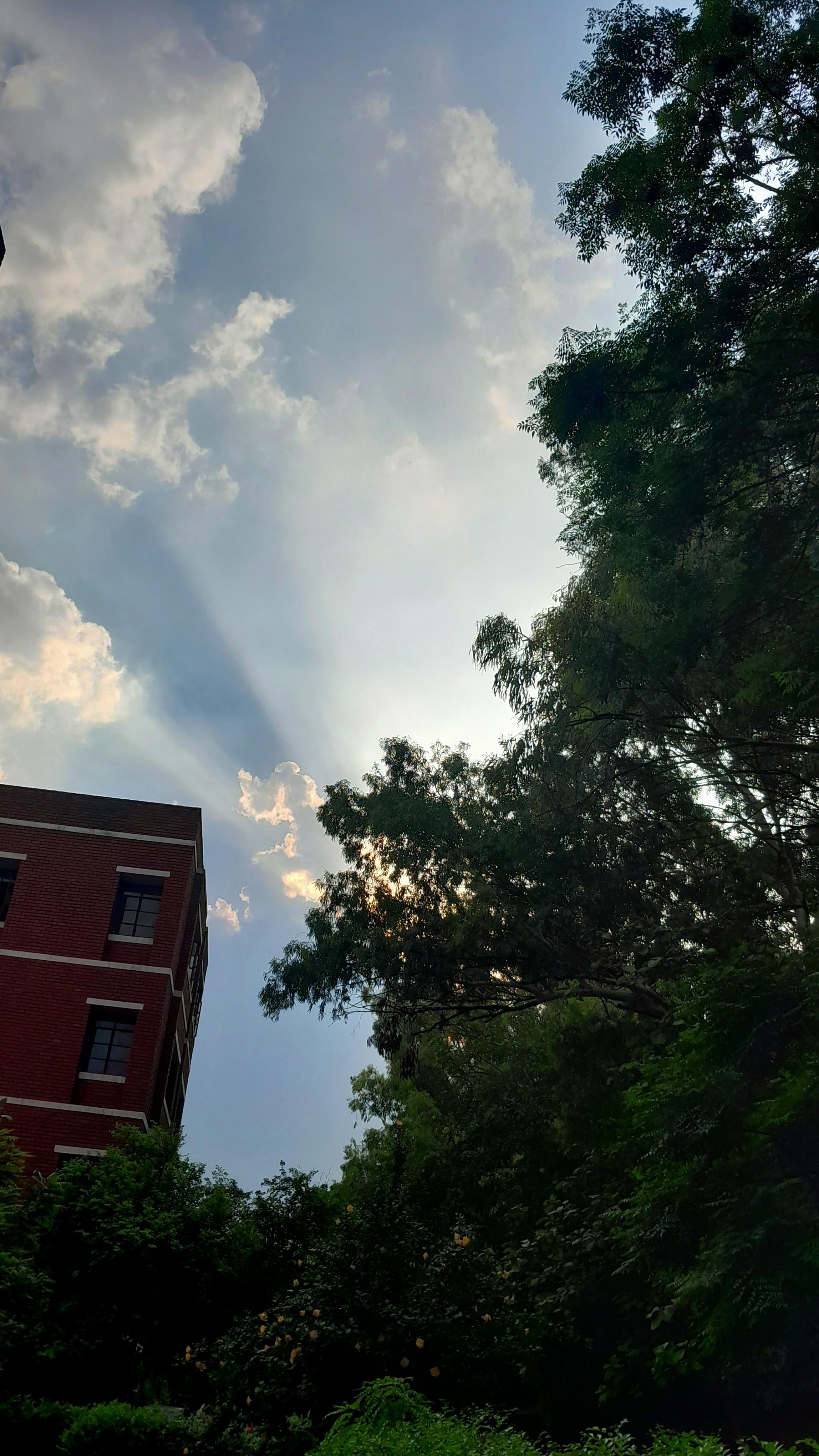 Shyama Prasad Mukherji College for Women Infrastructure & Academic Building photo (10) by Shreya Singh