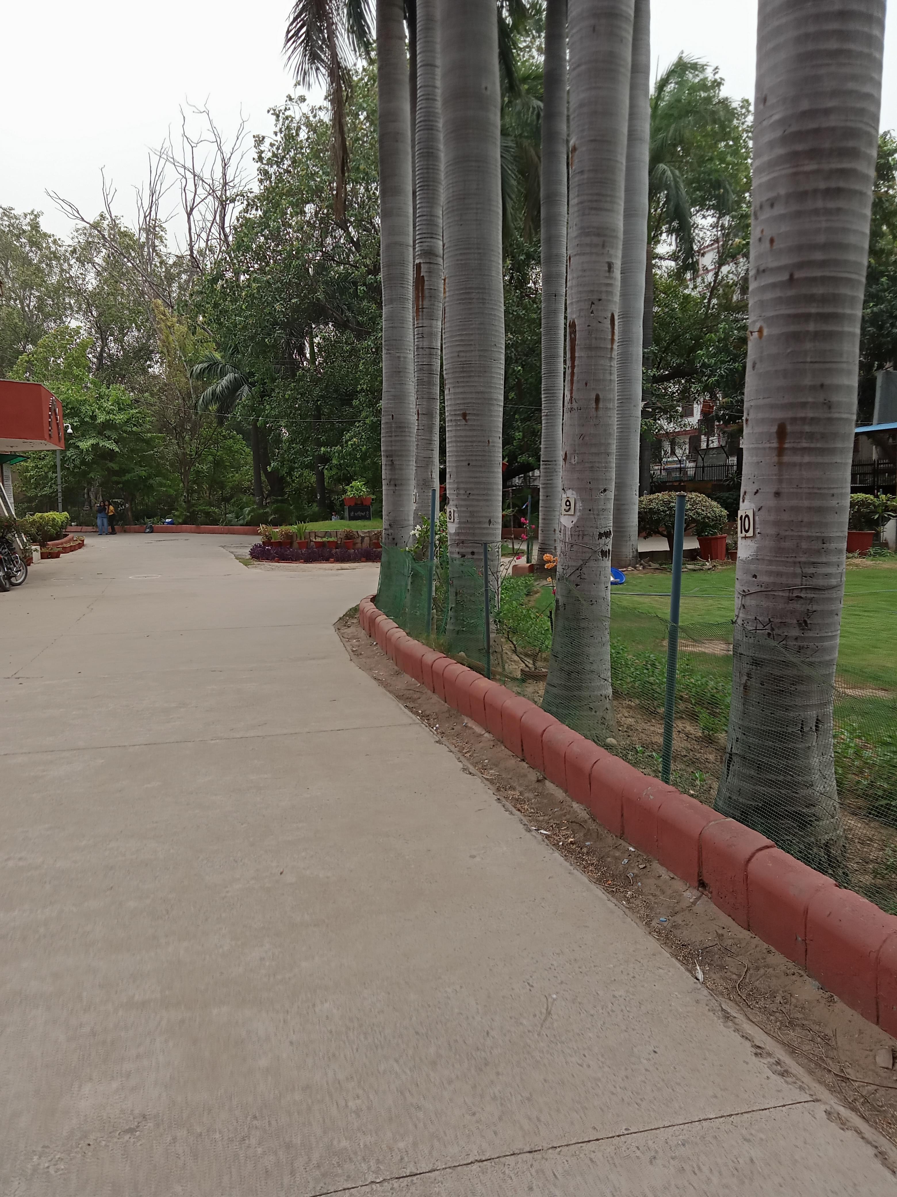 Kalindi College Campus photo (5) by Sneha Meena