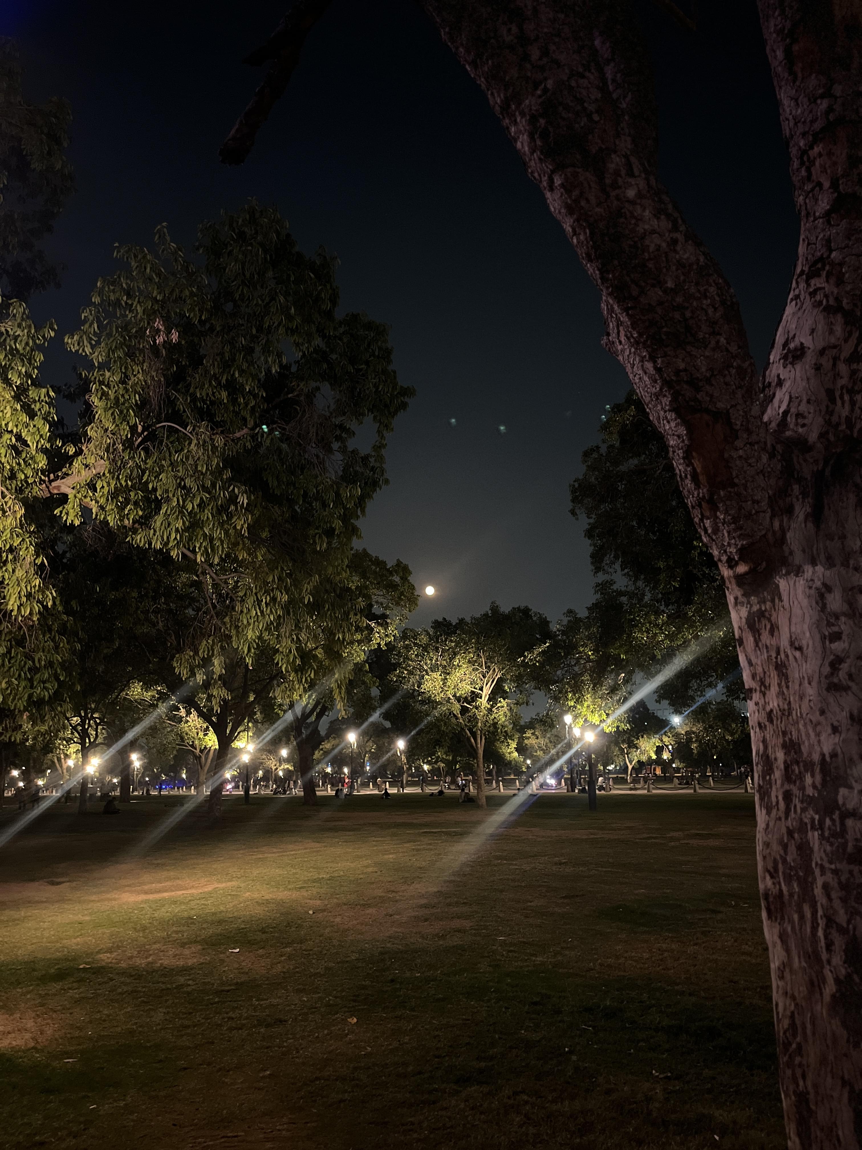 IVS School of Design New Delhi Extra-Curricular photo (3) by Aananaya Gupta