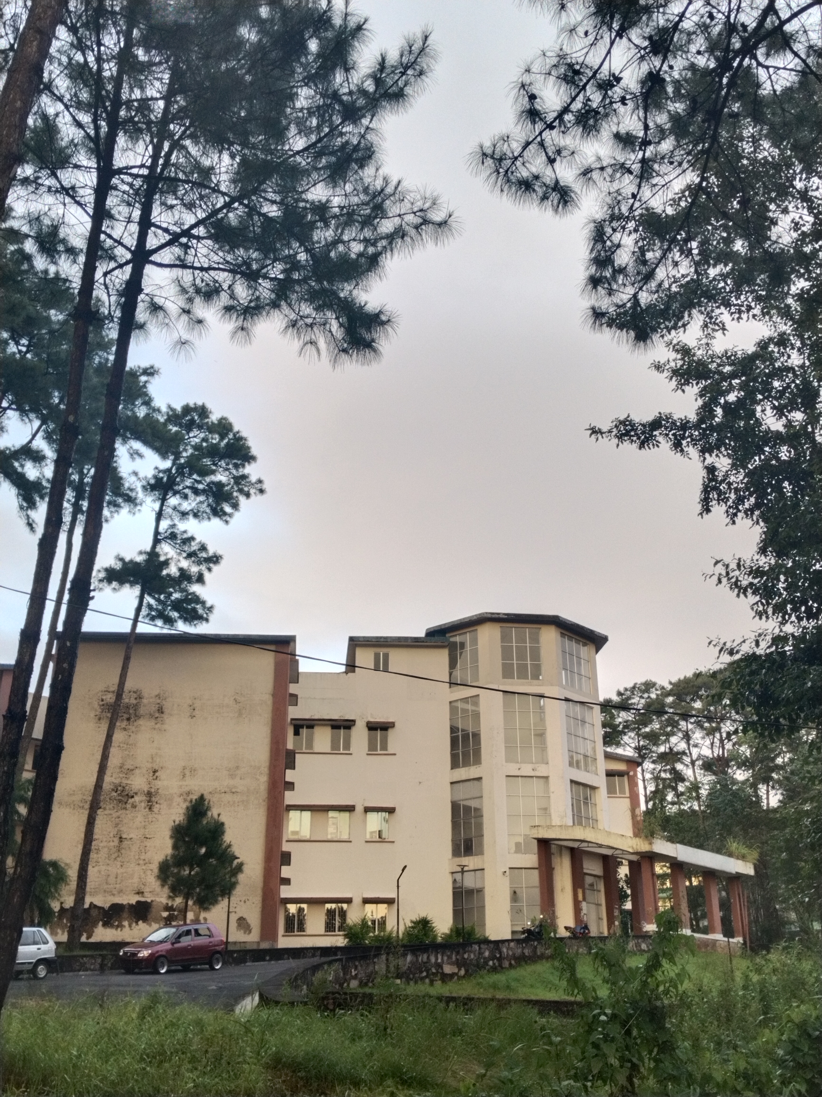 NEHU Campus photo (4) by Toto Awomi