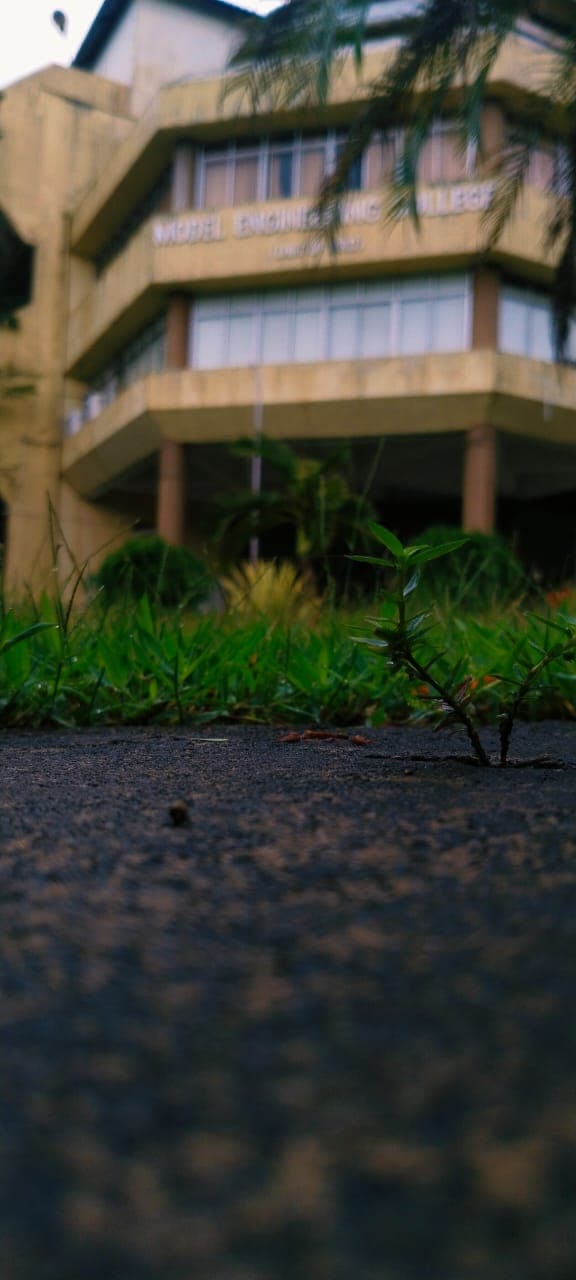 MEC Kochi Campus photo (14) by anamika cbinu