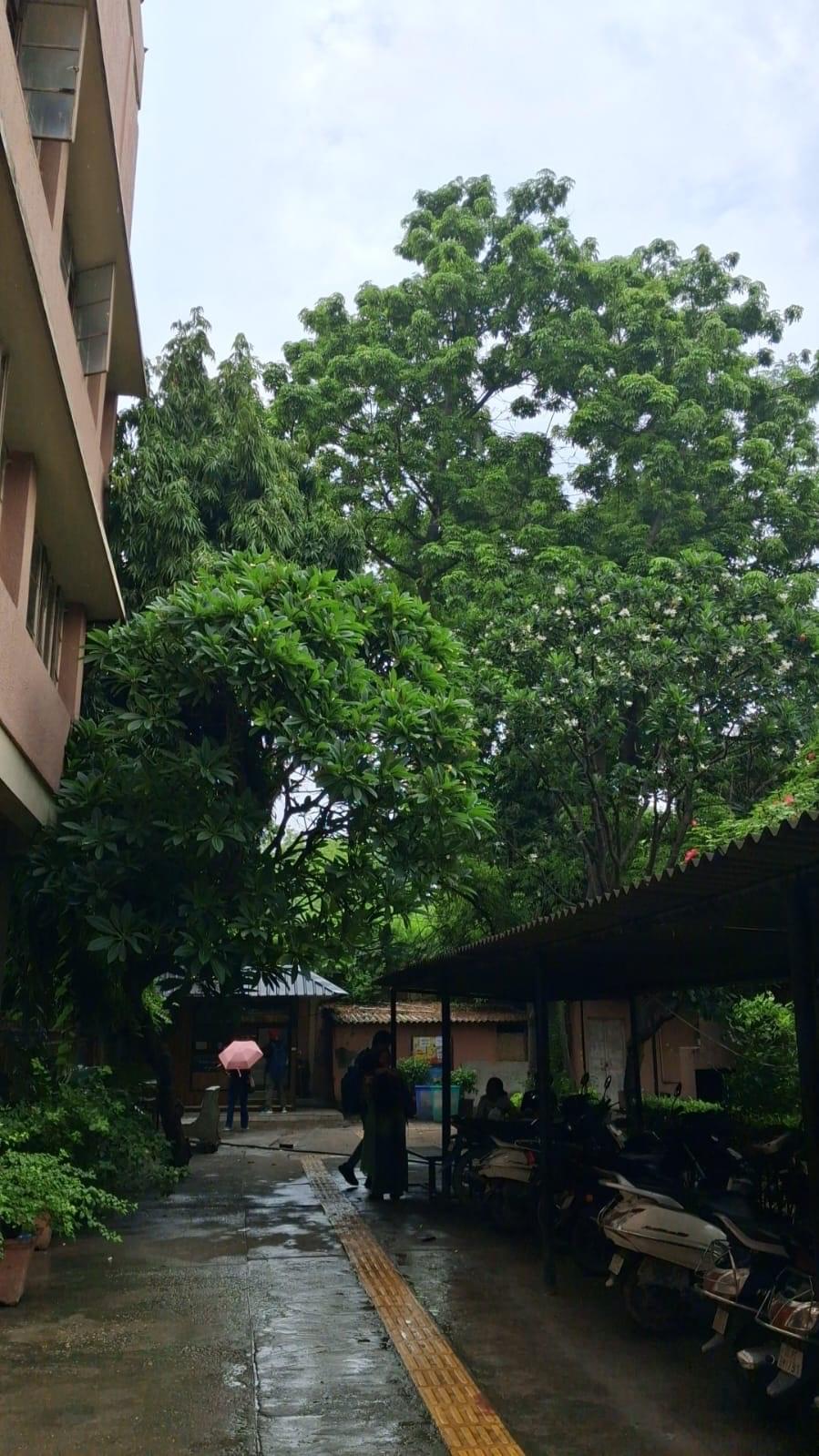 SGTB Khalsa College General photo (9) by Rakshita