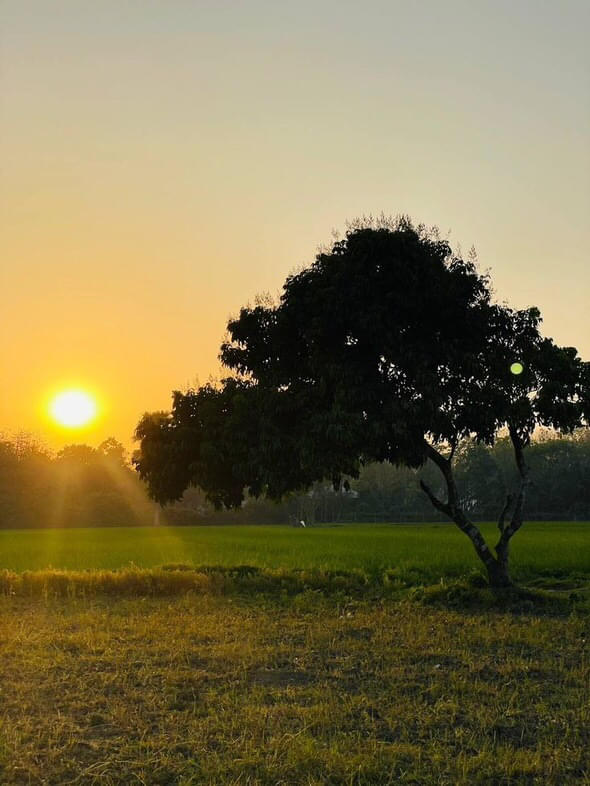 Kurukshetra University Campus photo (2) by Kapil