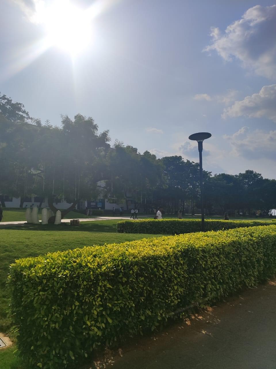 Deen Dayal Upadhyaya College Campus photo (14) by Piyush Verma