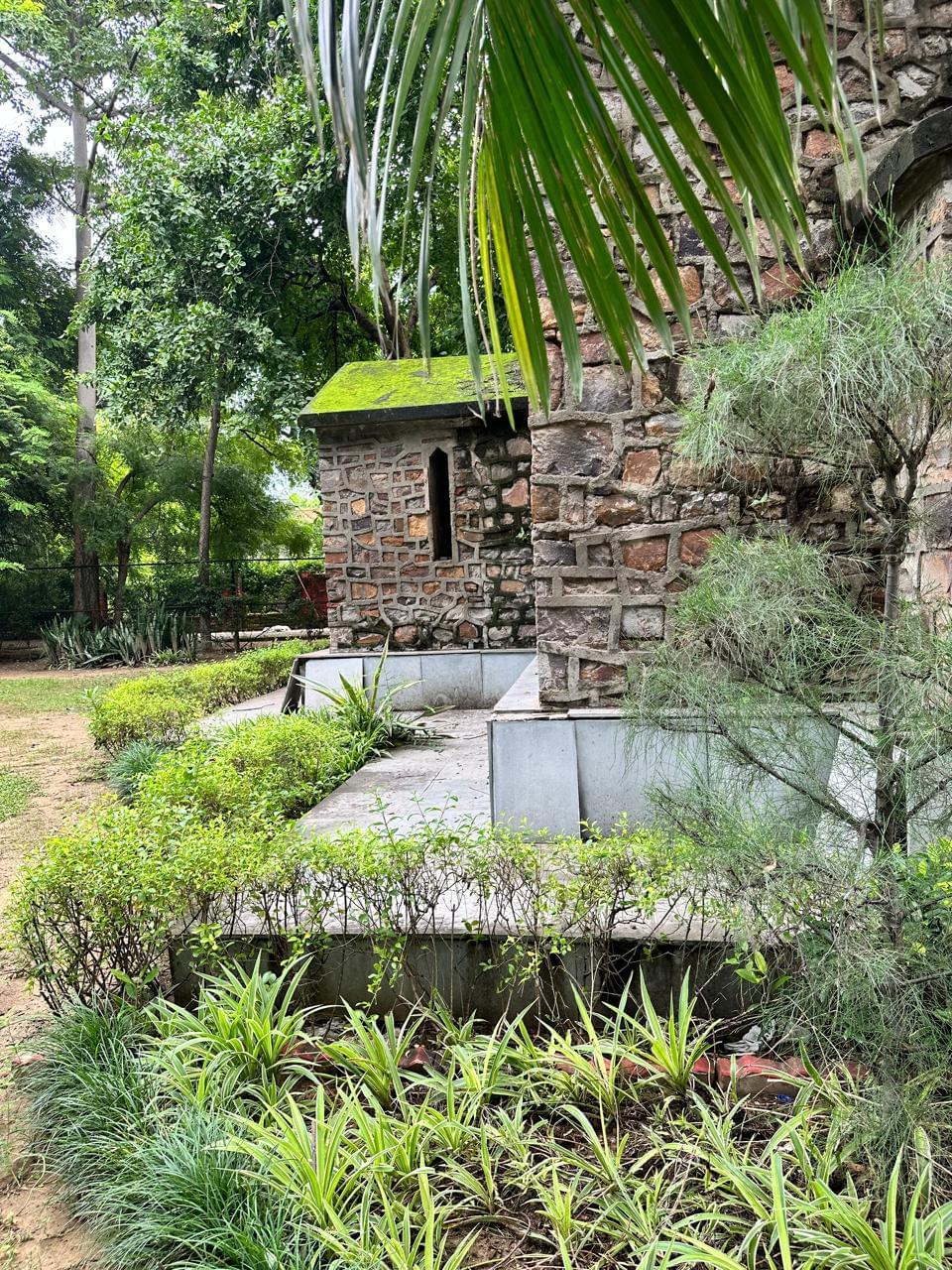 Deen Dayal Upadhyaya College Campus photo (11) by Piyush Verma