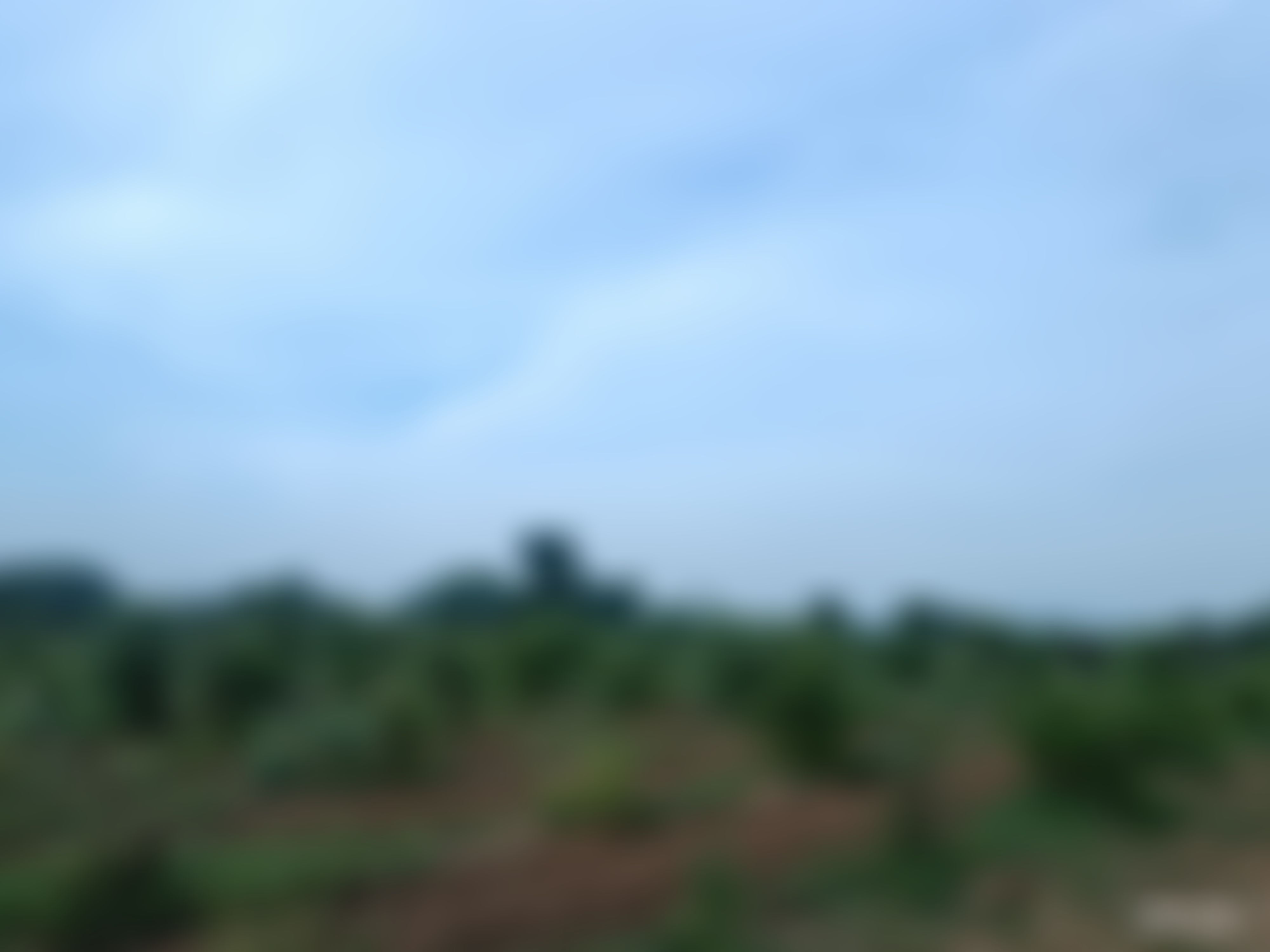 Sardarkrushinagar Dantiwada Agricultural University Palanpur General photo (3) by Patel Dhruansh Ketankumar